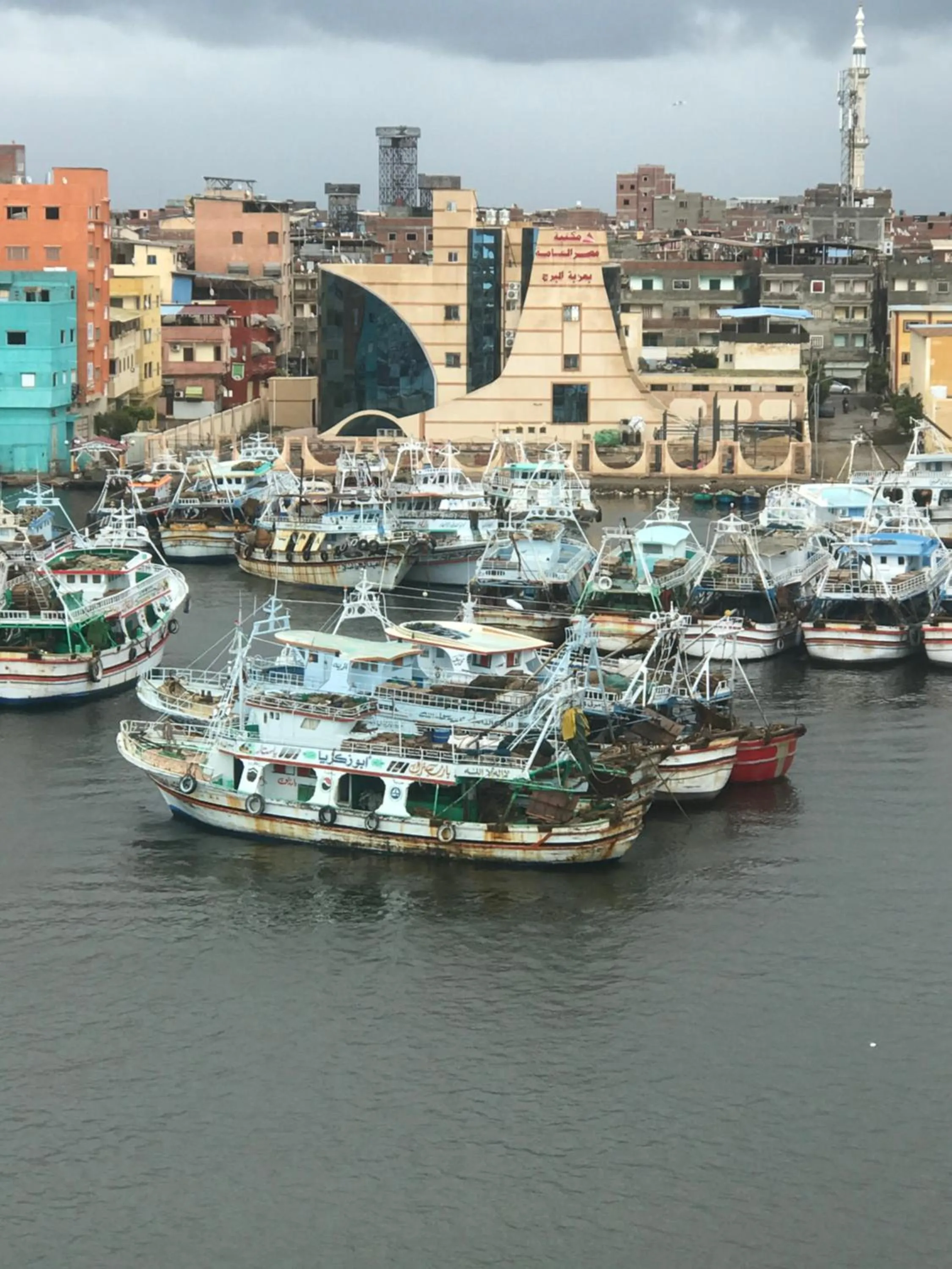 Neighbourhood in Dolphin Ras El-Bar Hotel