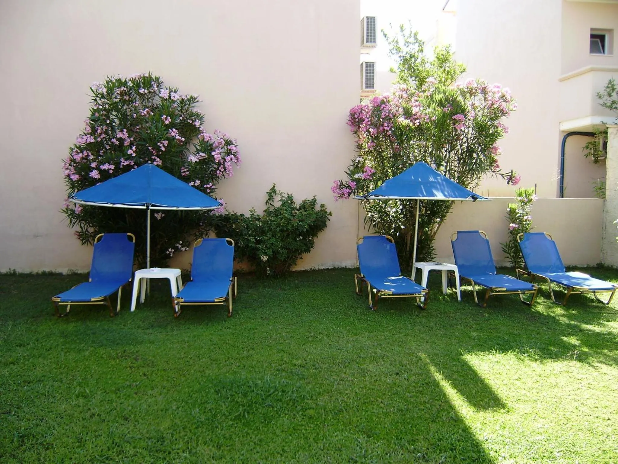 Garden in Nicolas Studios & Apartments