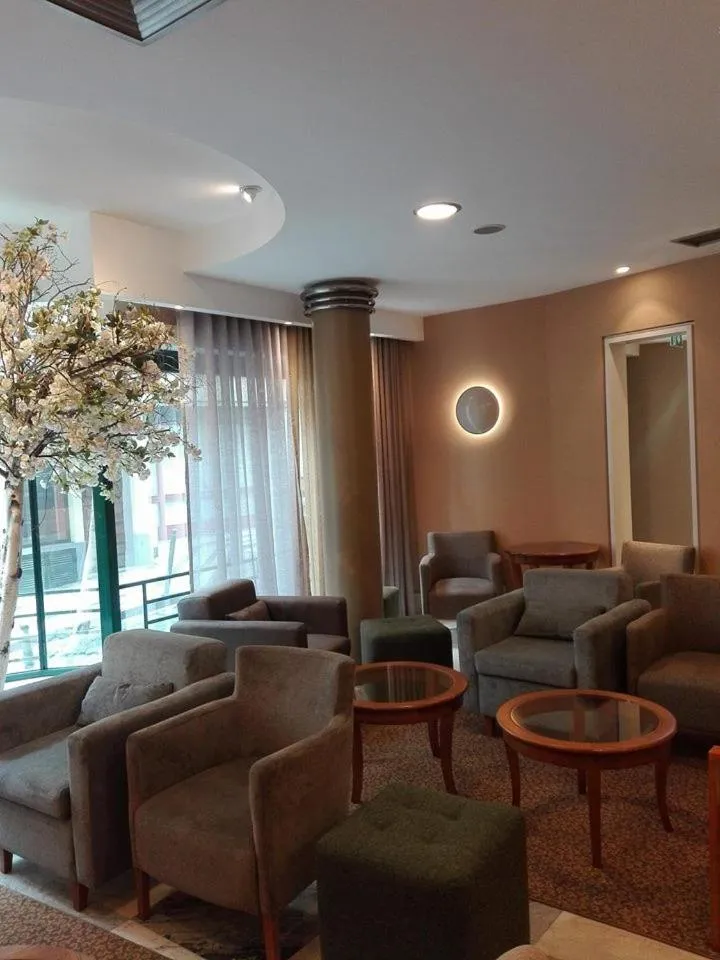 Communal lounge/ TV room in Hotel Windsor