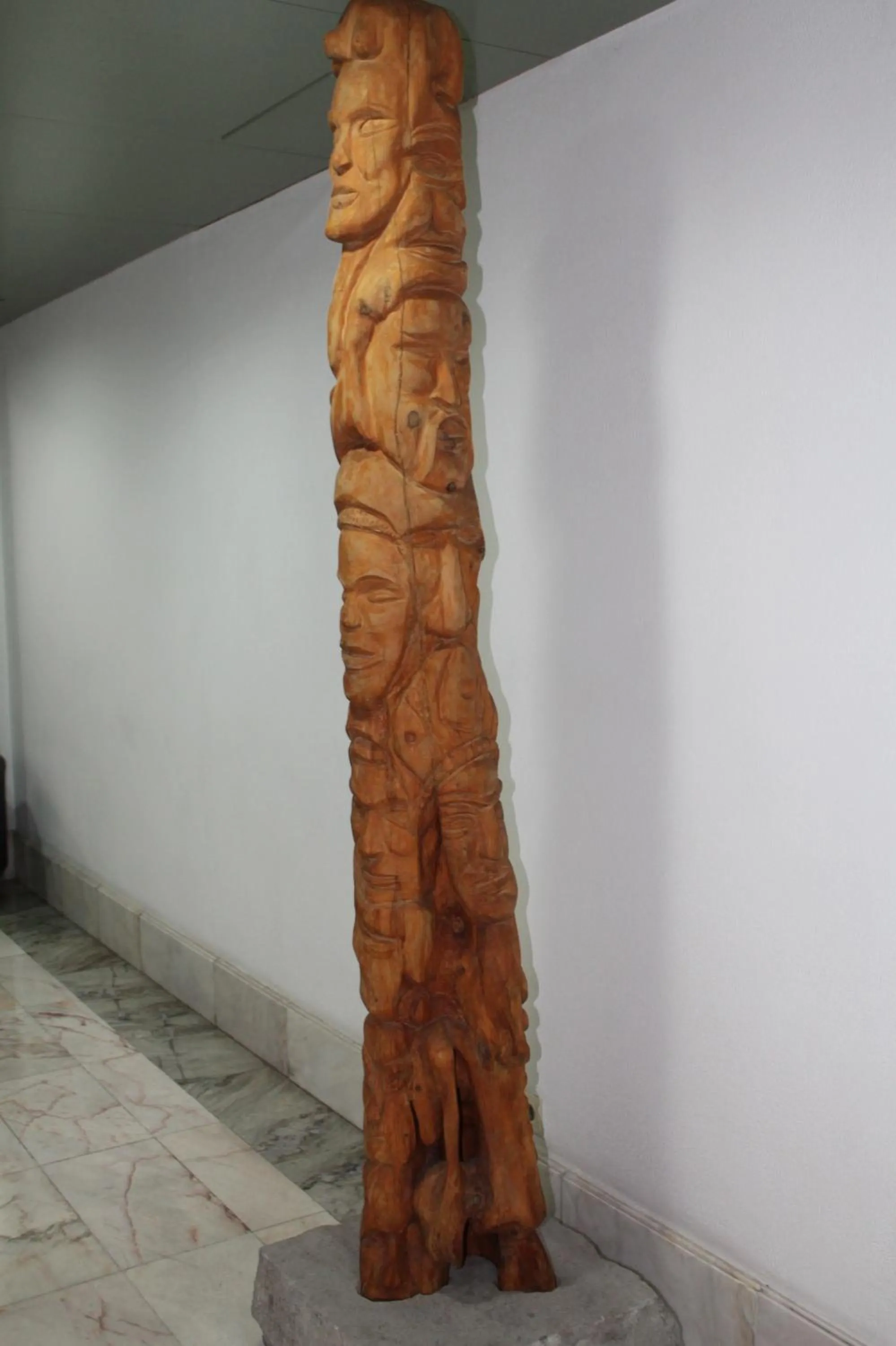 Area and facilities in Hotel Windsor