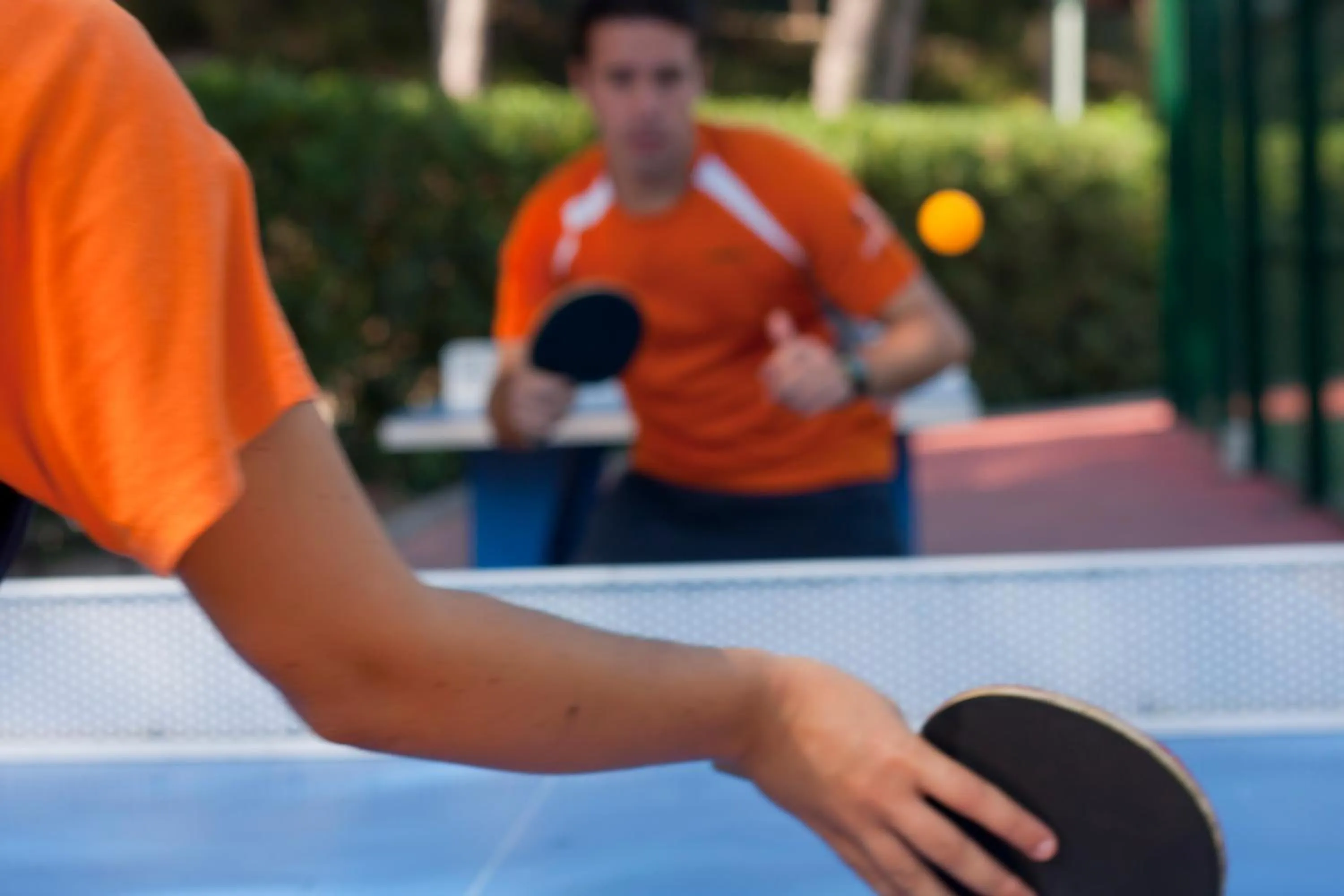 Table tennis in Camping Estival Torre de la Mora