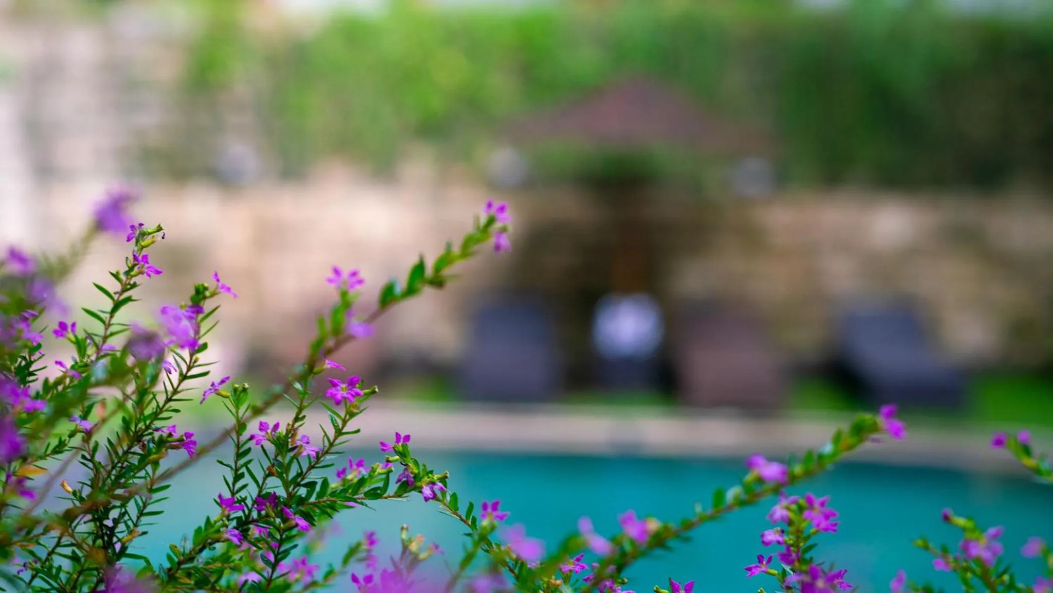 Swimming pool in Karang Lila Bhuana Ubud