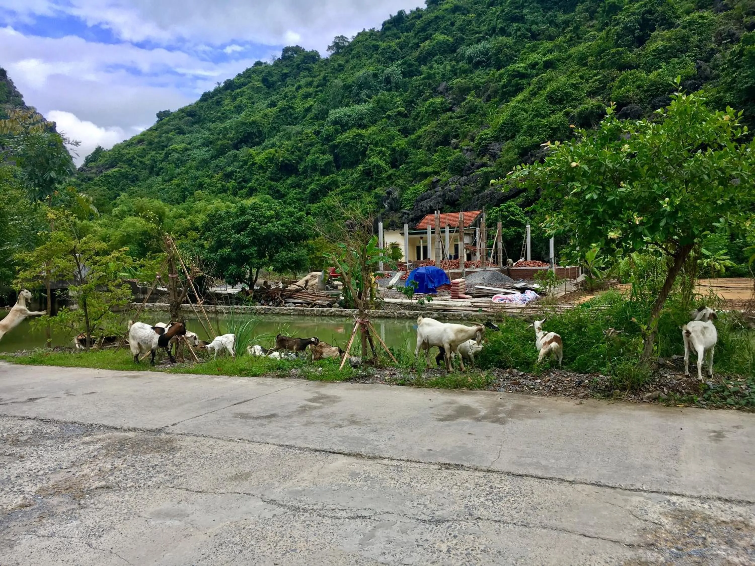 Neighbourhood in Moc An Village Tam Coc - Ninh Binh