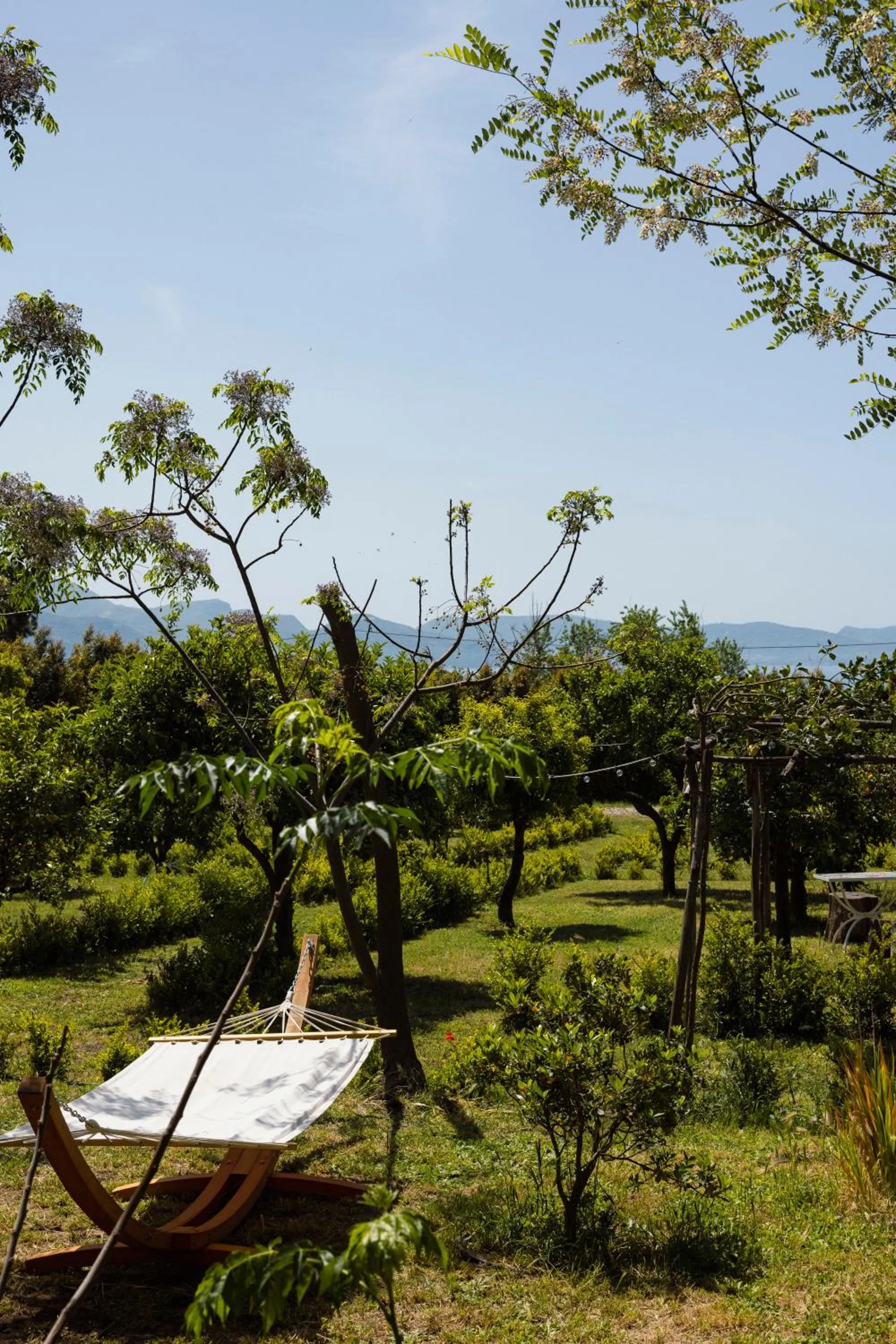 Garden in Villa De Cillis Carafa