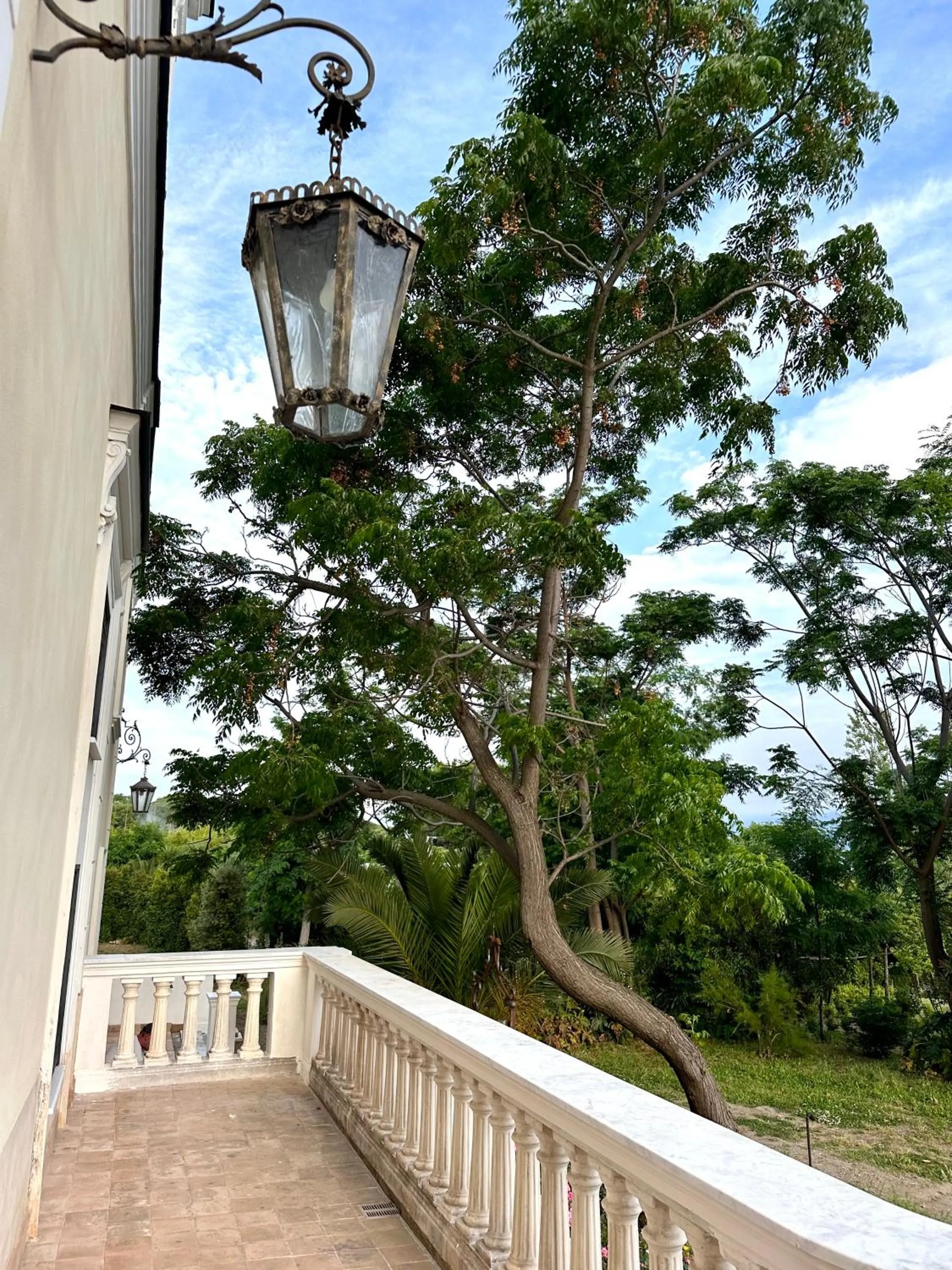Natural landscape in Villa De Cillis Carafa