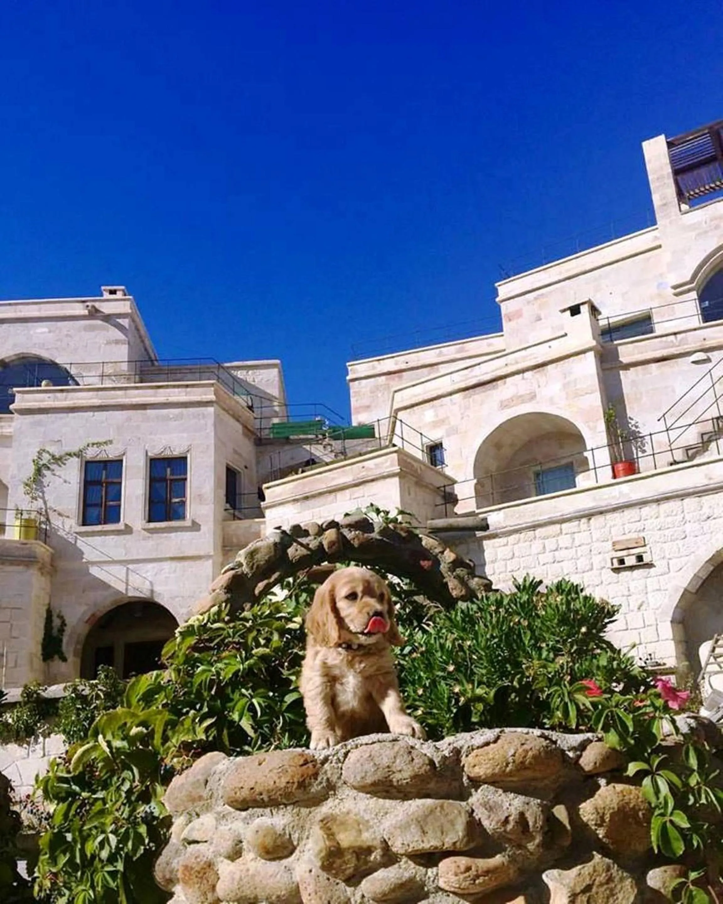 Facade/entrance in Doors Of Cappadocia Special Cave Hotel