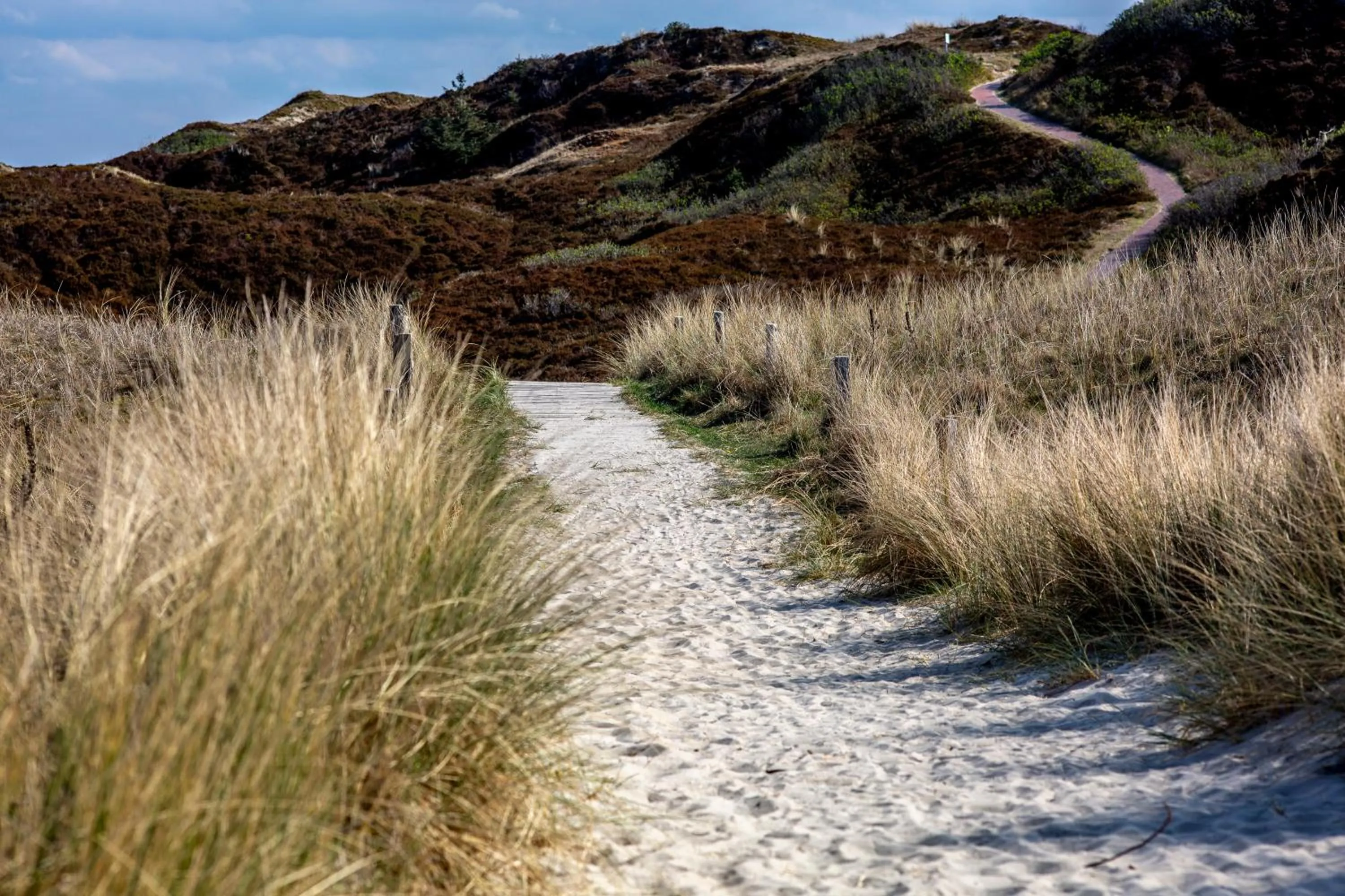 Natural landscape in Hotel Bethanien