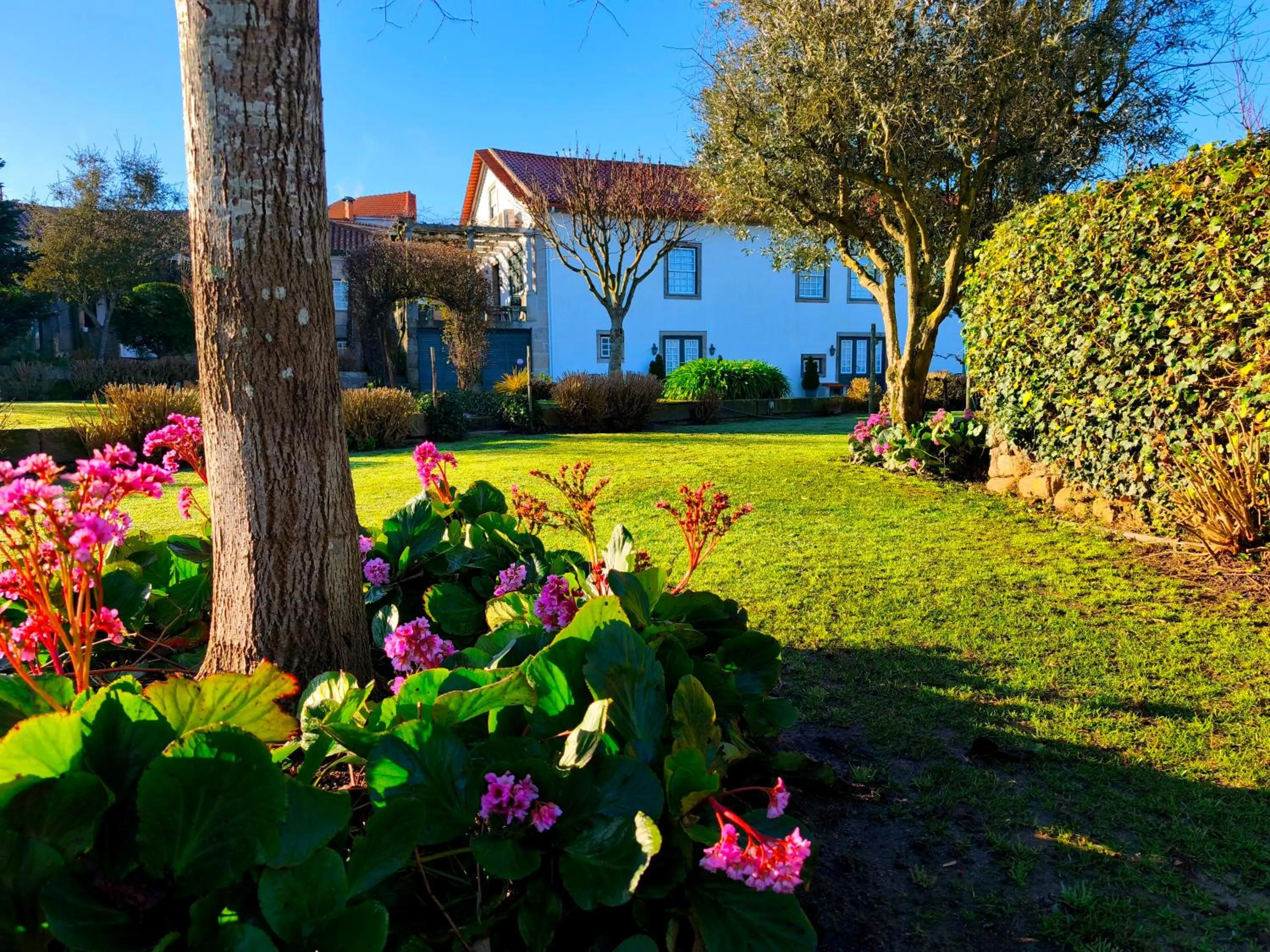 Property building in Casa de Santa Ana da Beira