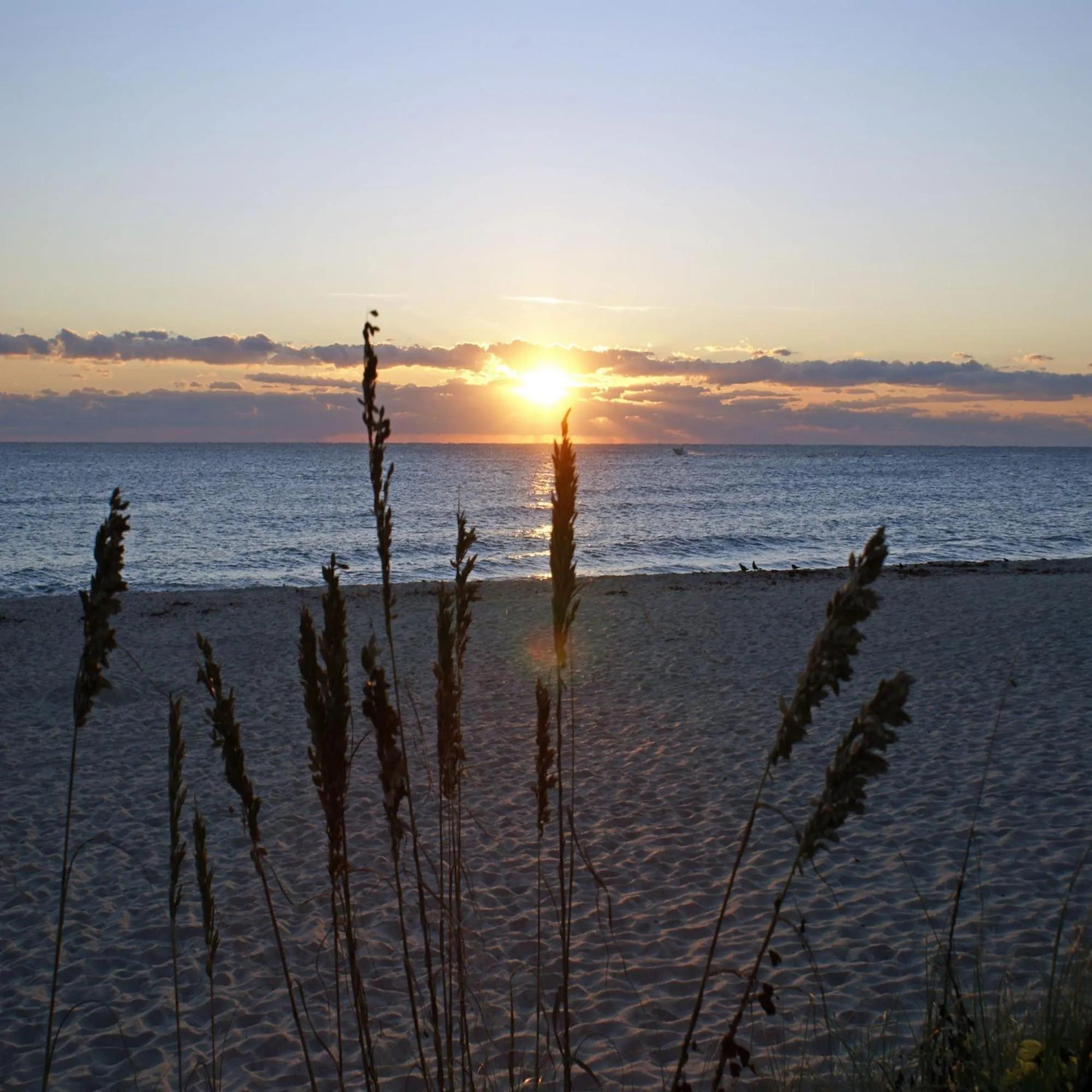 Beach in Sabal Palm House Bed and Breakfast