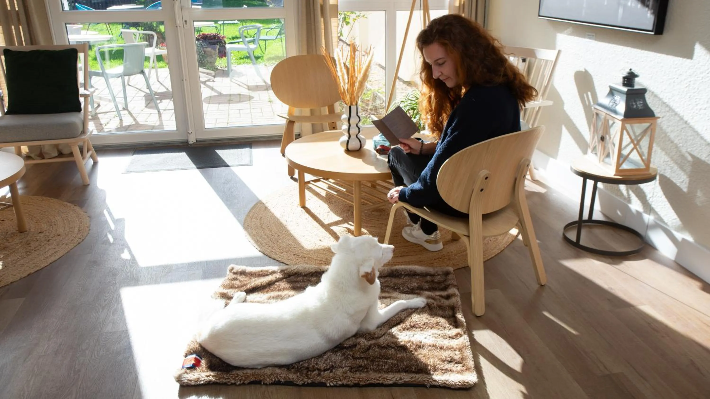 Pets in Hôtel Nell - Axelle - Maison Tassoni