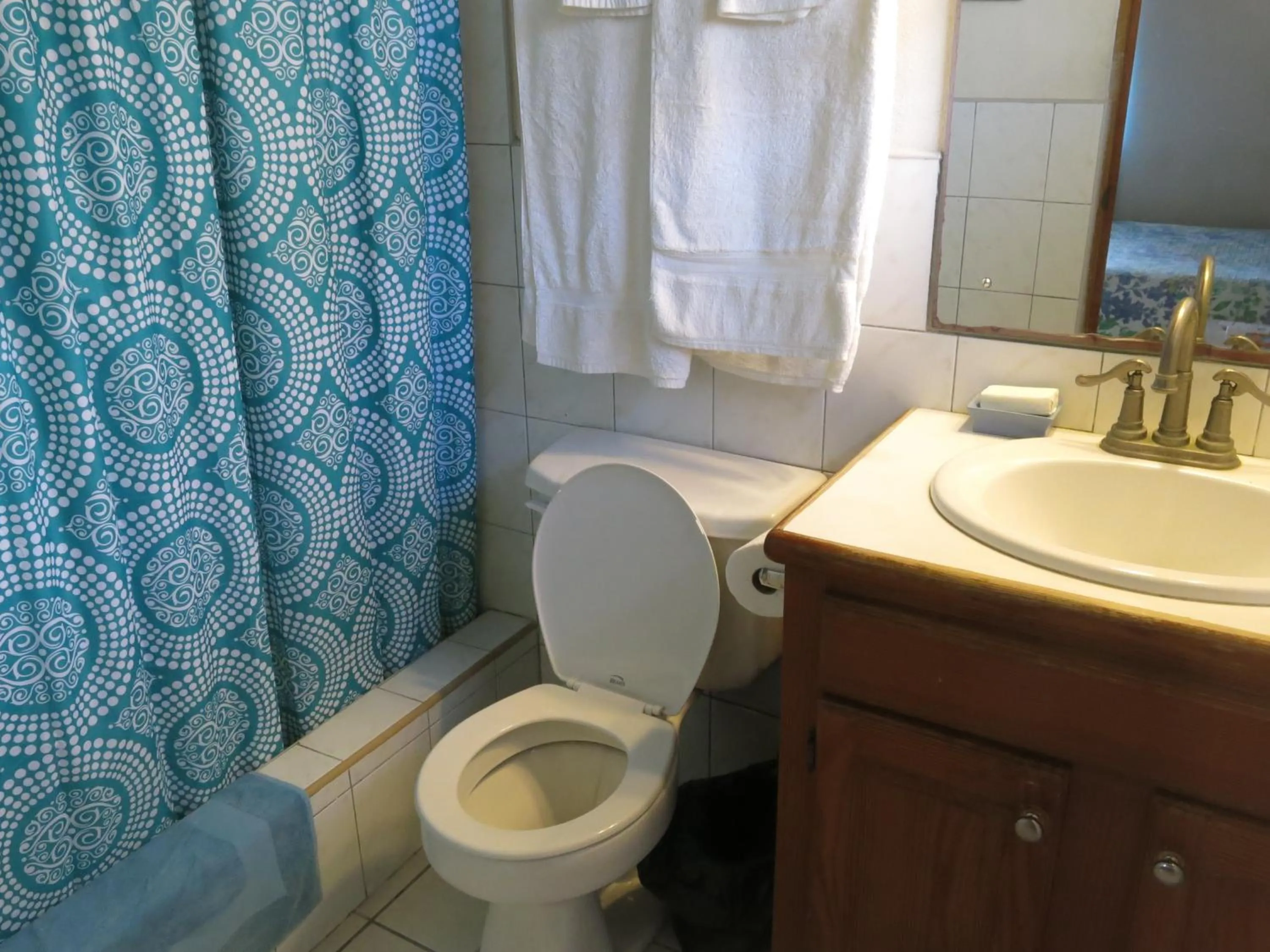 Bathroom in Gemini House Bed & Breakfast