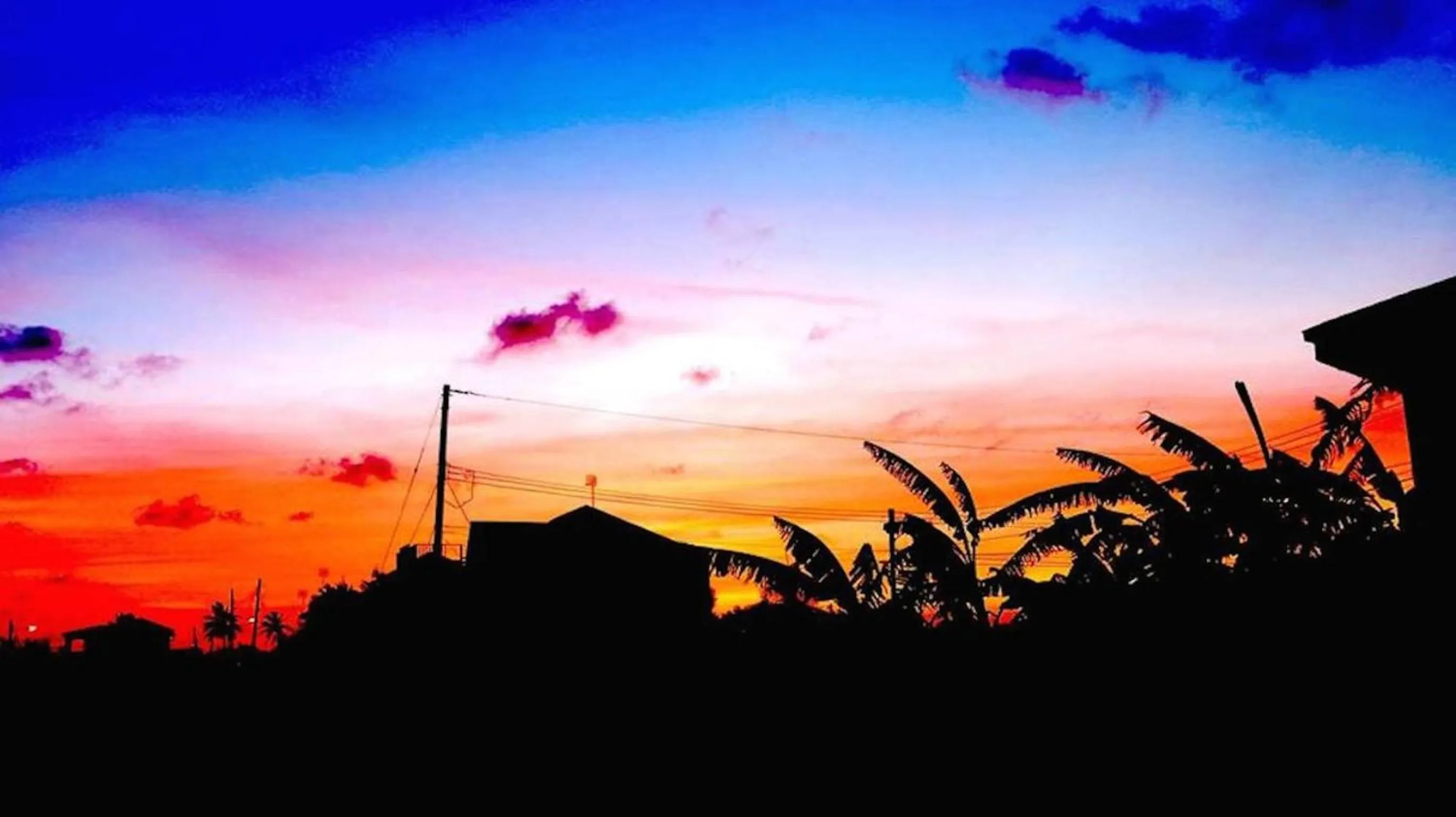 Garden in Gemini House Bed & Breakfast