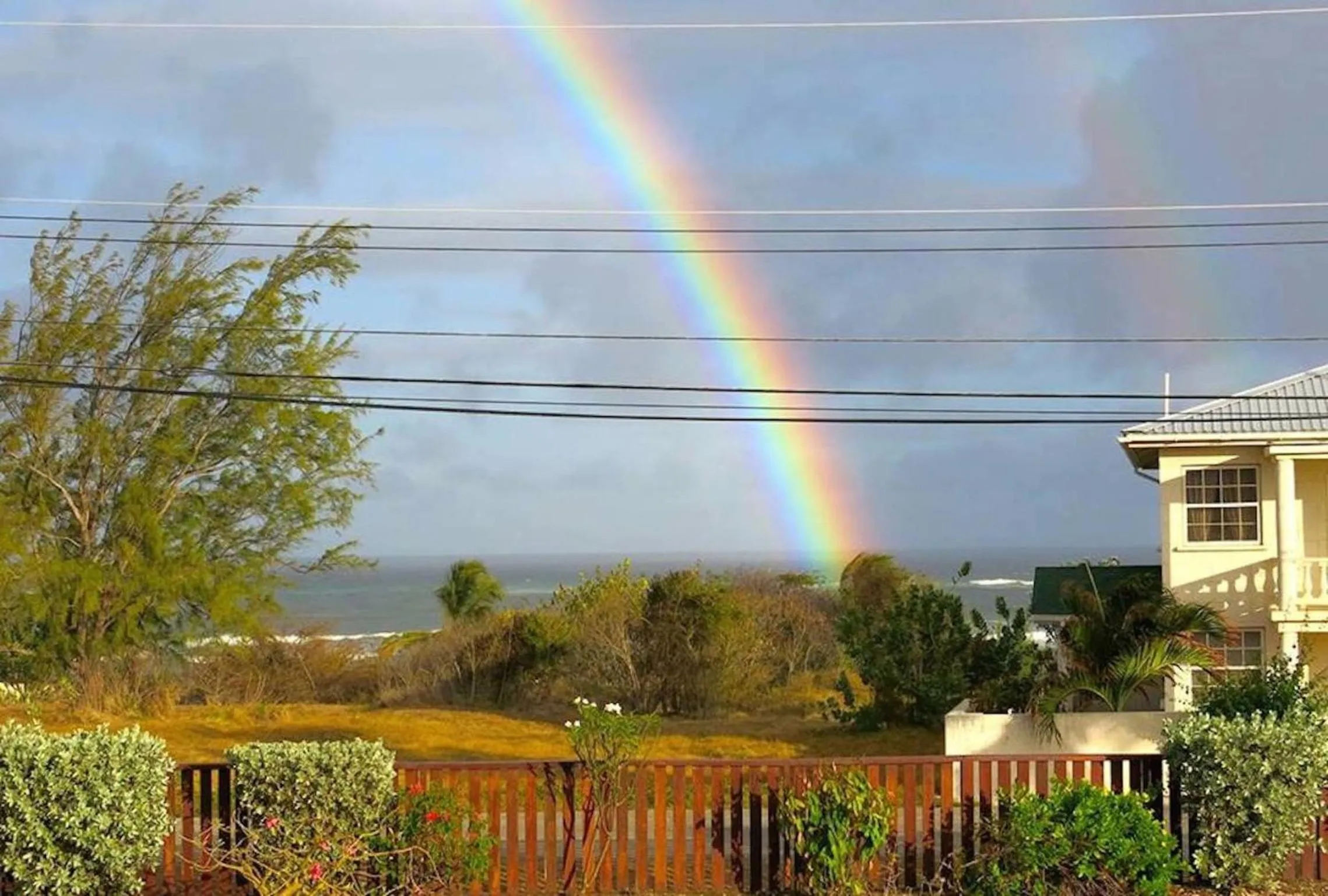 Garden view in Gemini House Bed & Breakfast