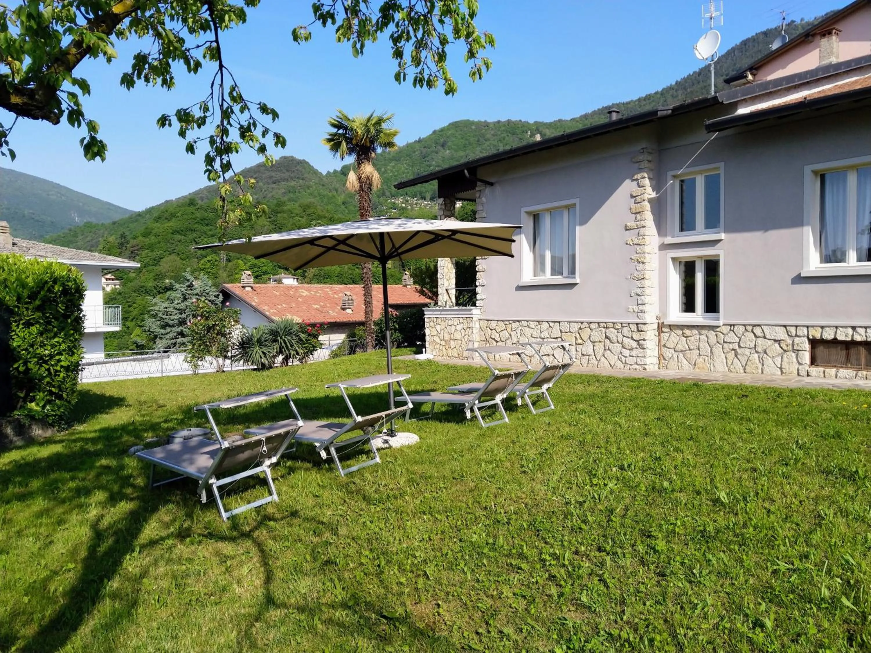 Garden in Hotel Gallo