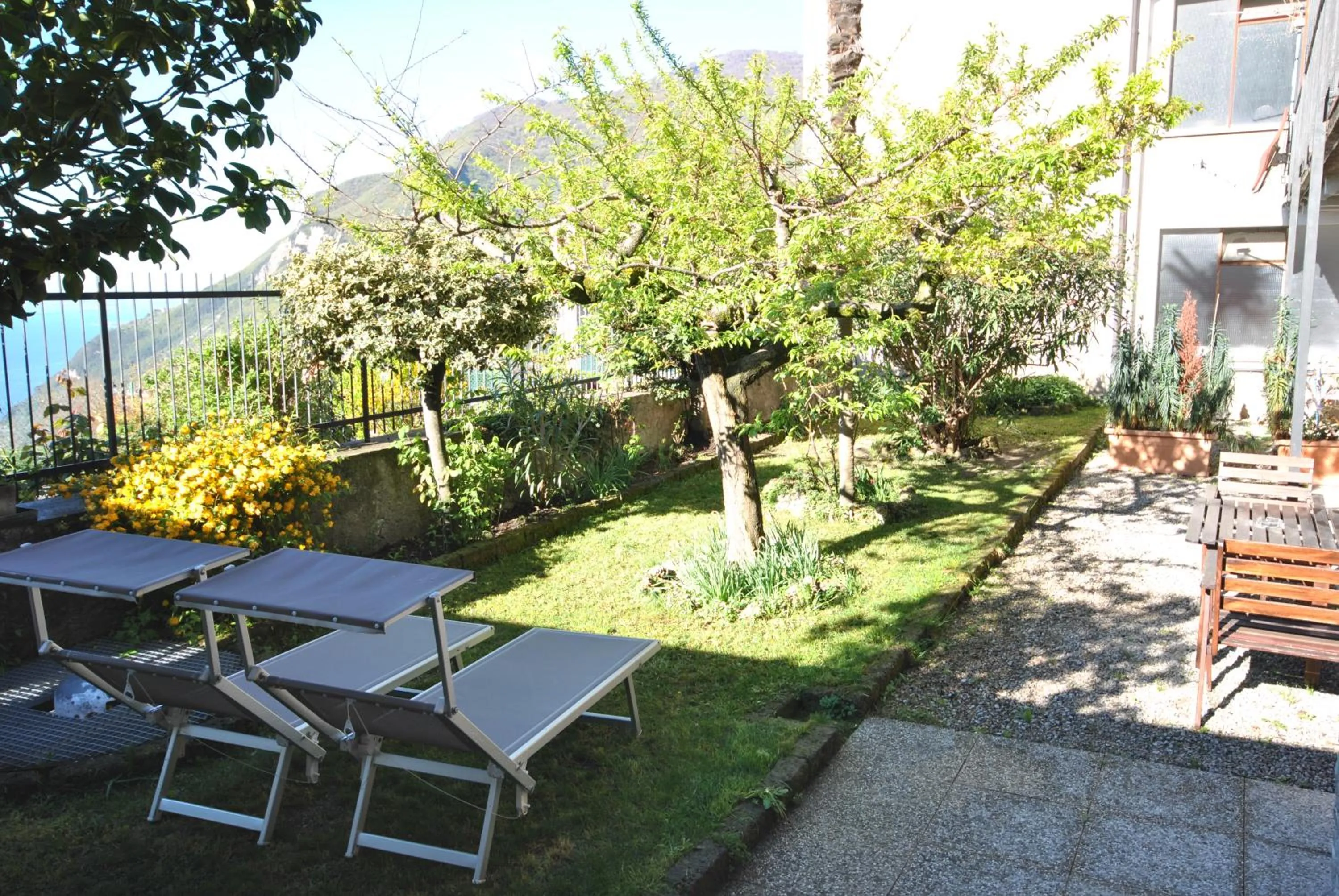 Garden in Hotel Gallo