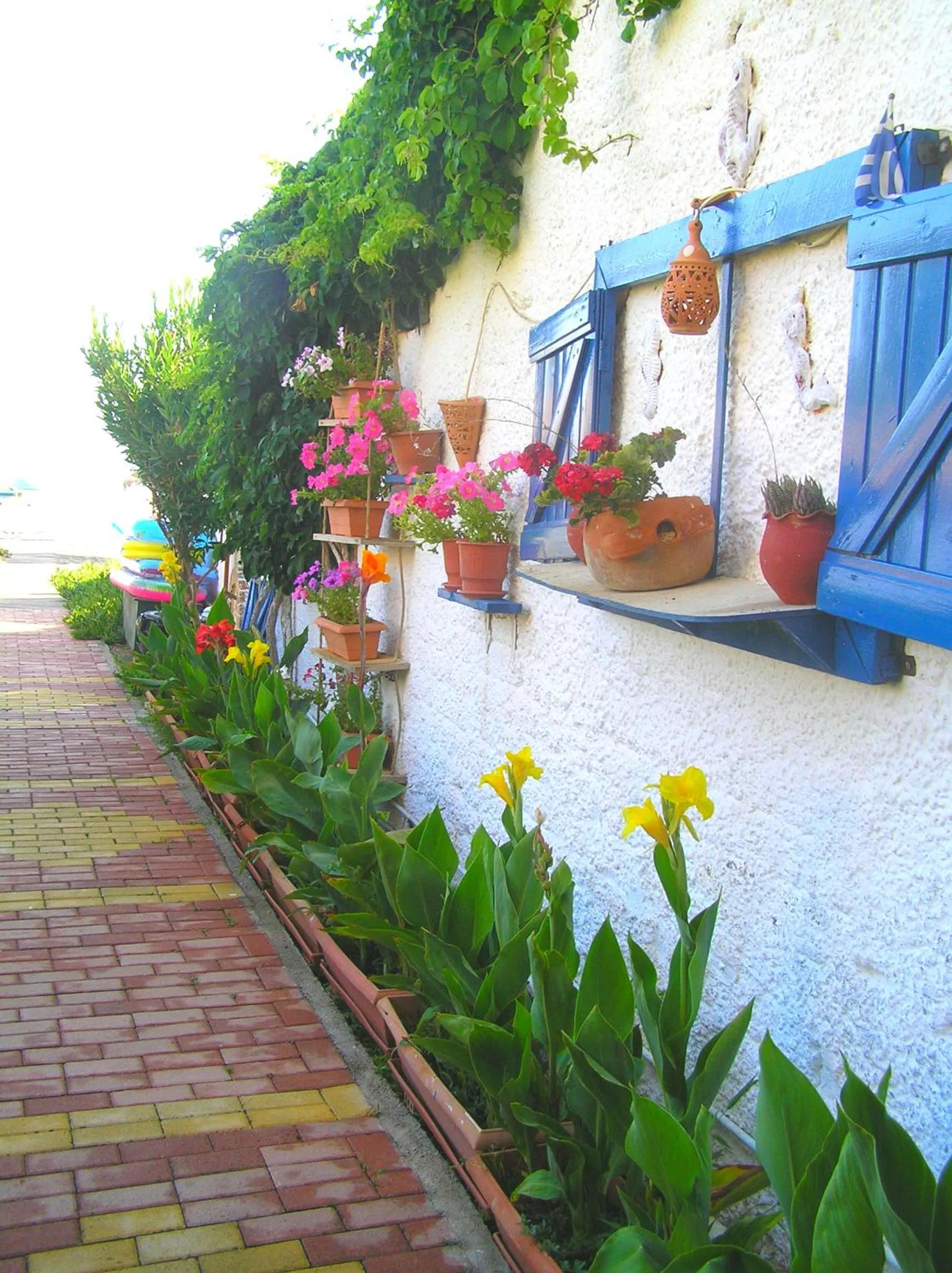 Garden in Katerina Seaside Studios