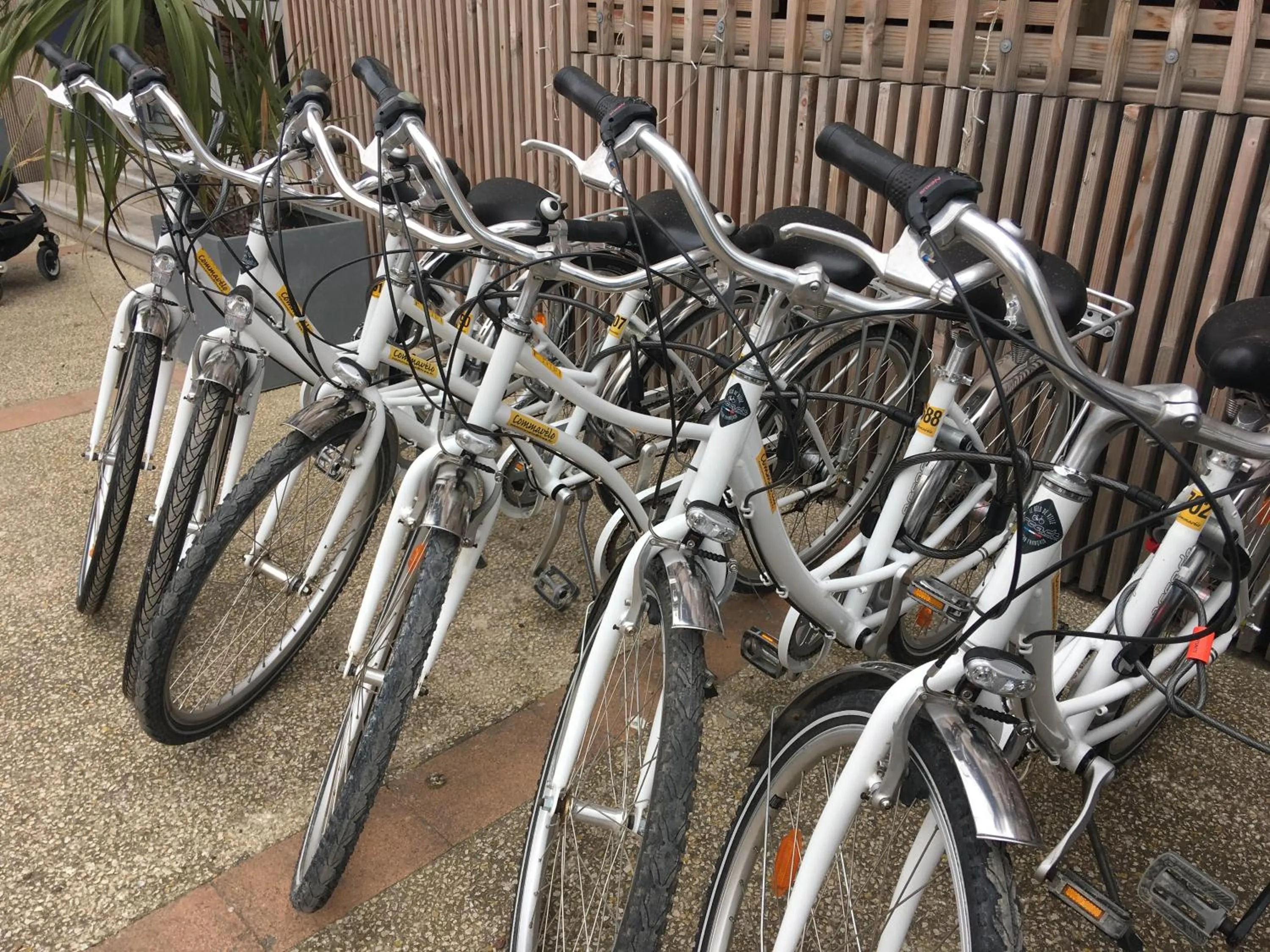 People in Hôtel Café Miramar