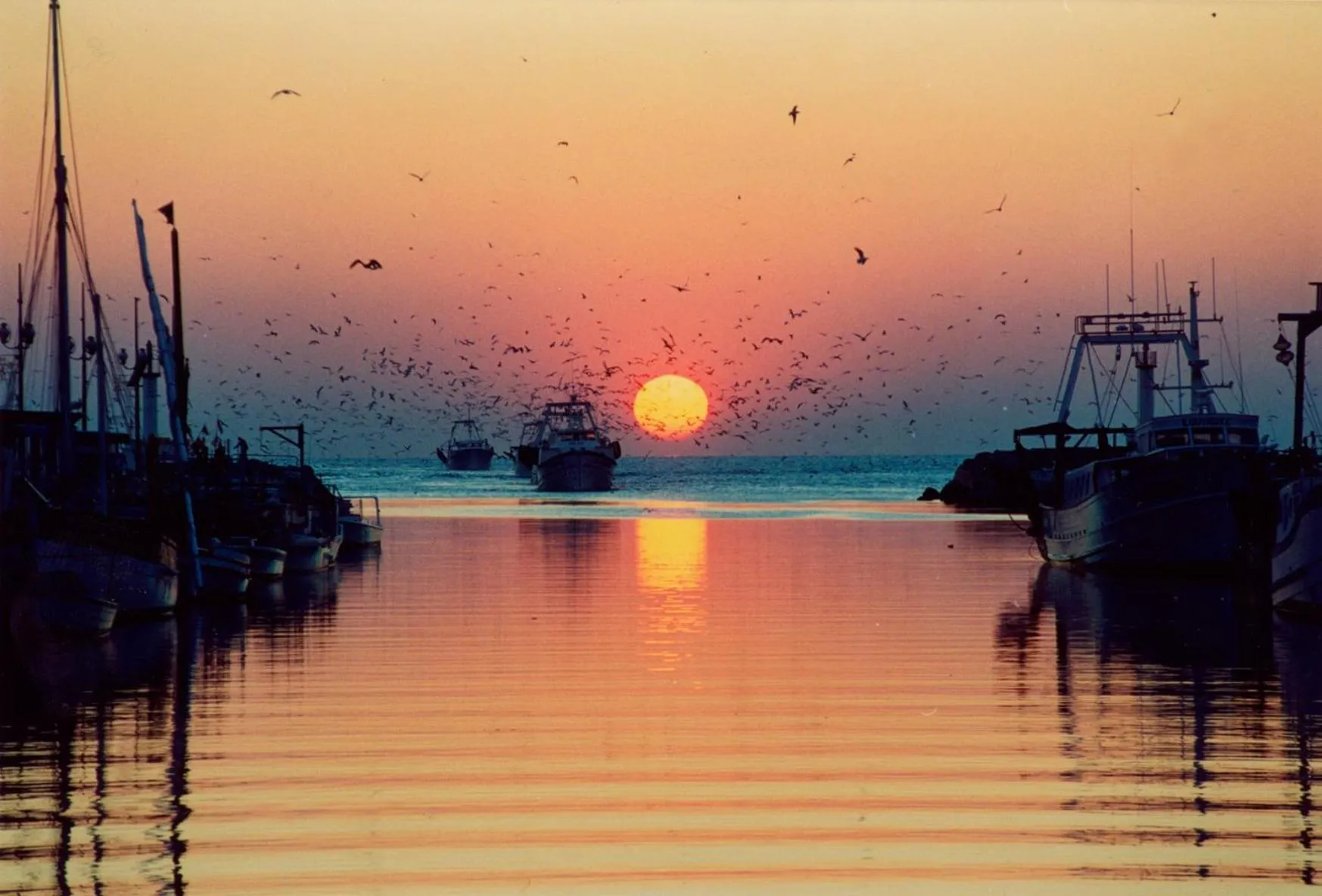 Natural landscape in Hôtel Café Miramar