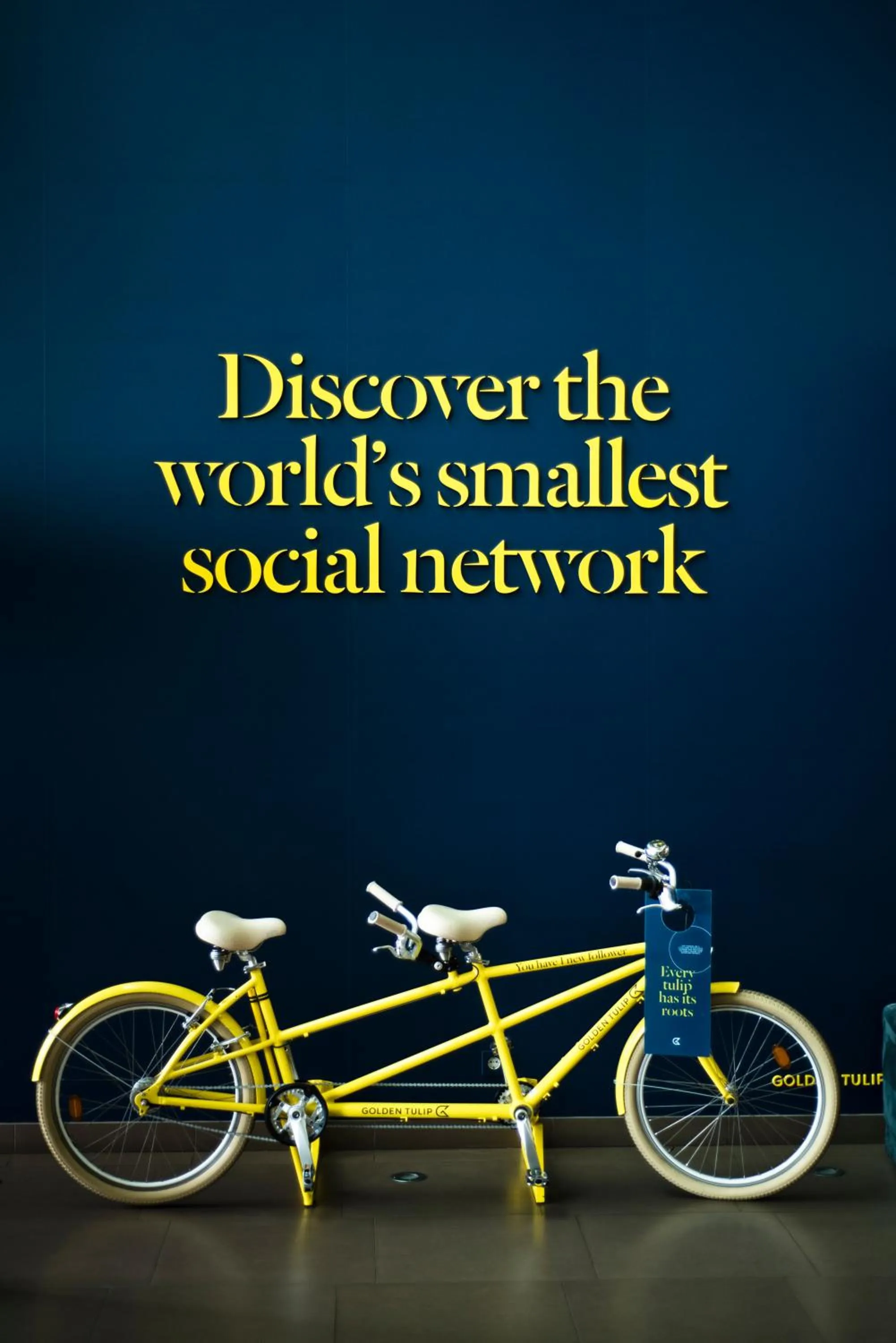 Activities in Golden Tulip São João da Madeira Hotel