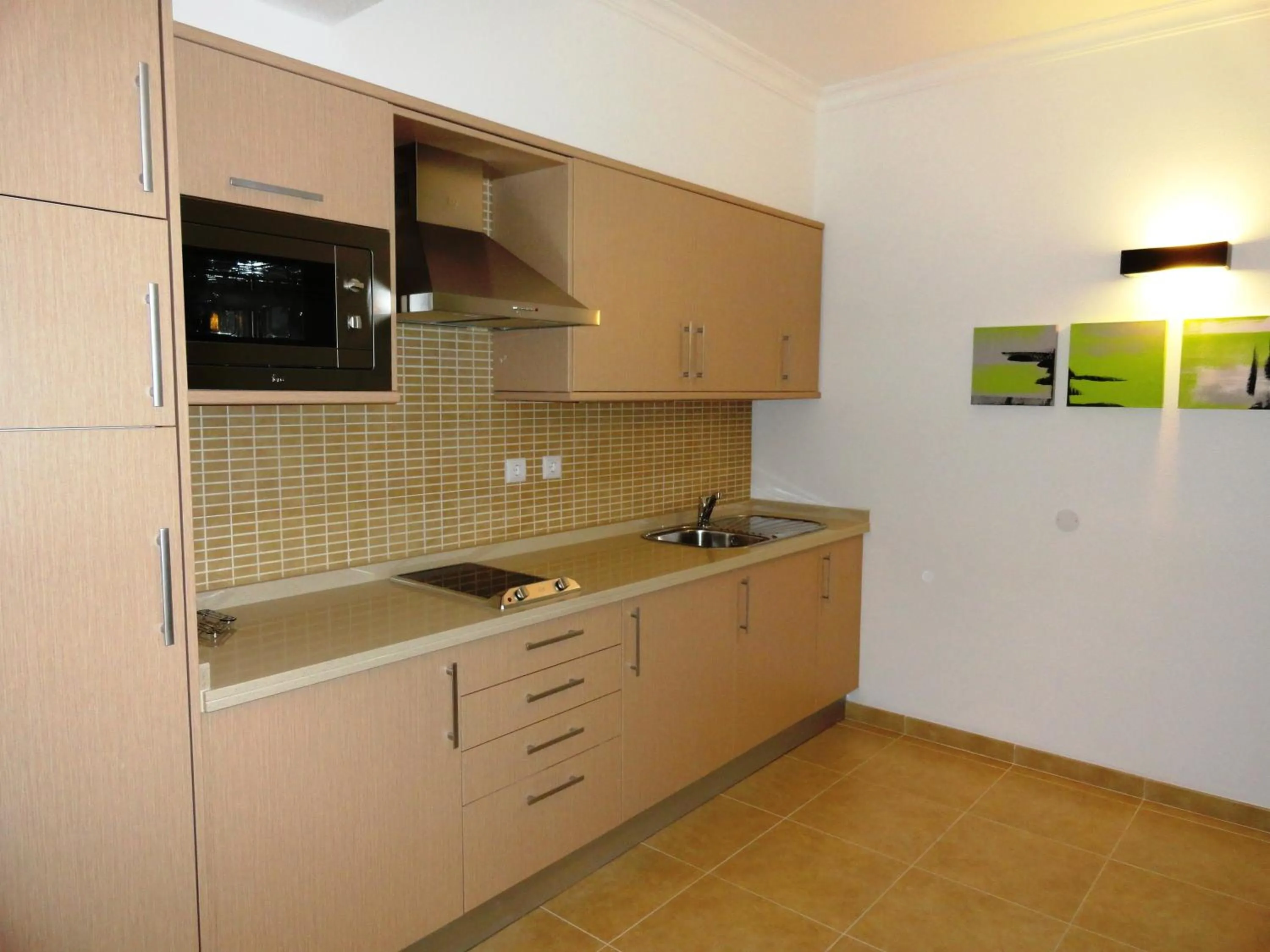 Kitchen or kitchenette in Apartamentos Guadiana