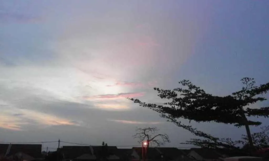 Wany Homestay & Guest House