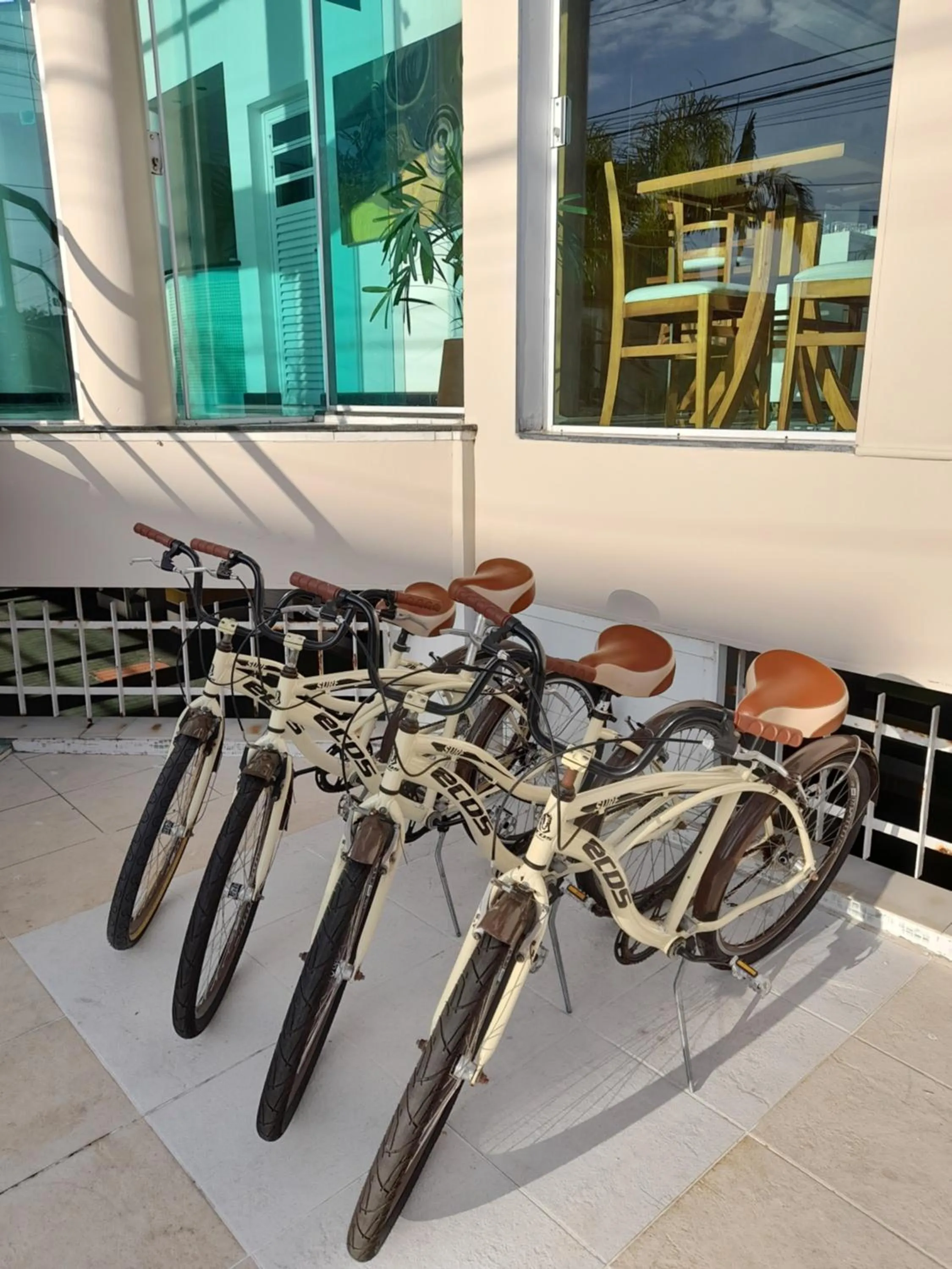 Activities in Hotel The Green Ecologic