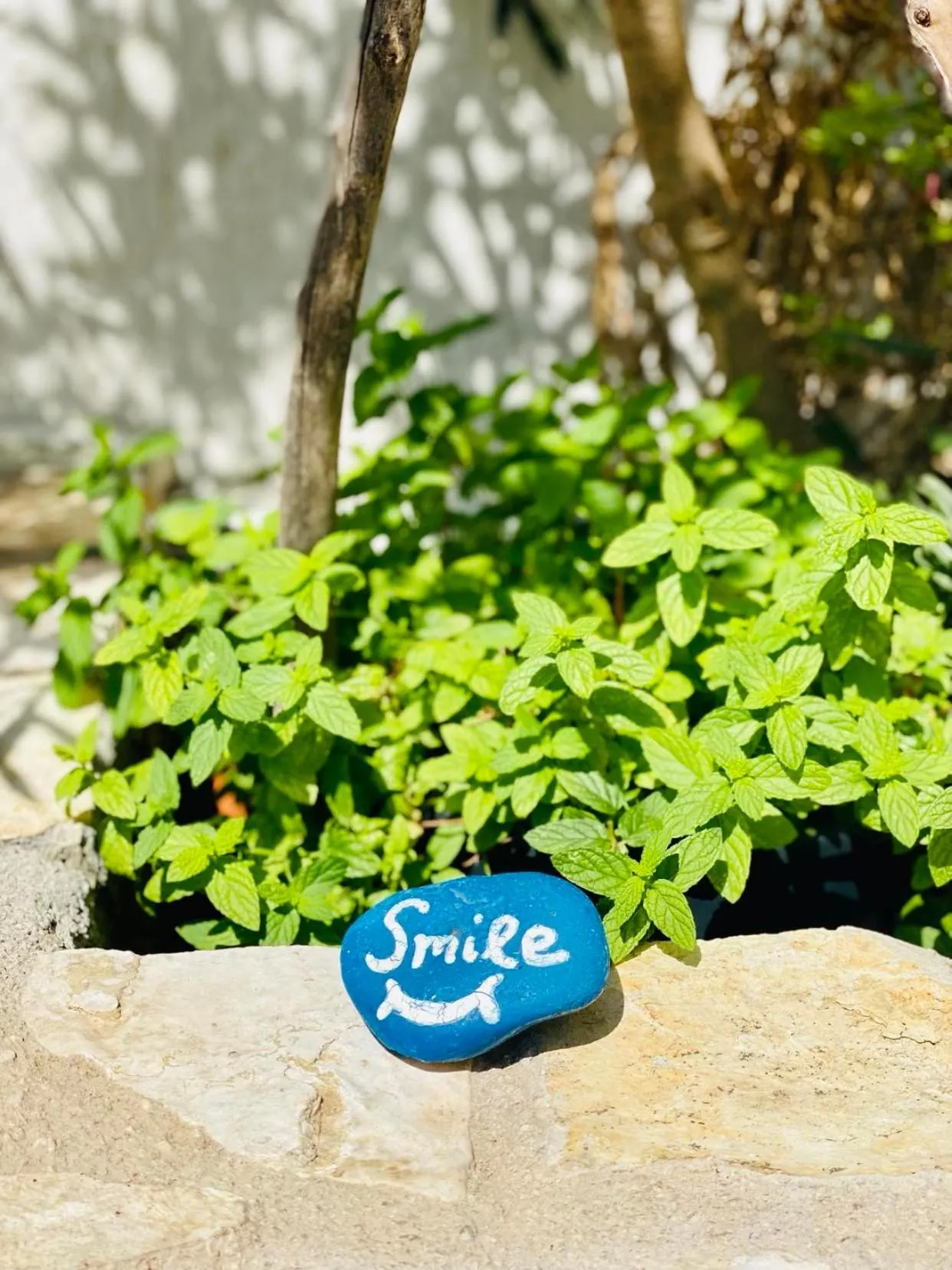 Garden view in Geo & Art Boutique Hotel Himara