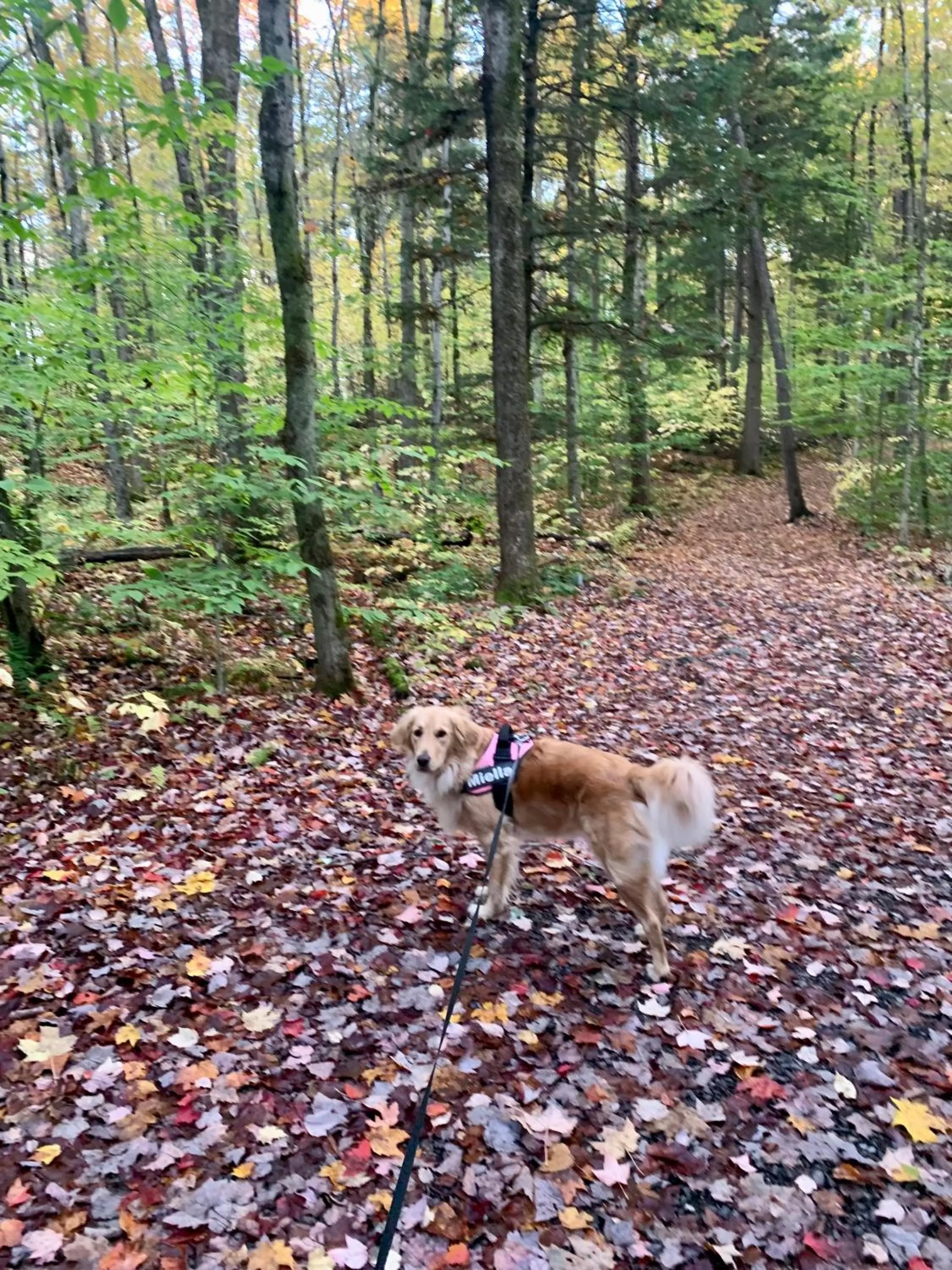Natural landscape in Au Gré Du Temps - Gîte B&B