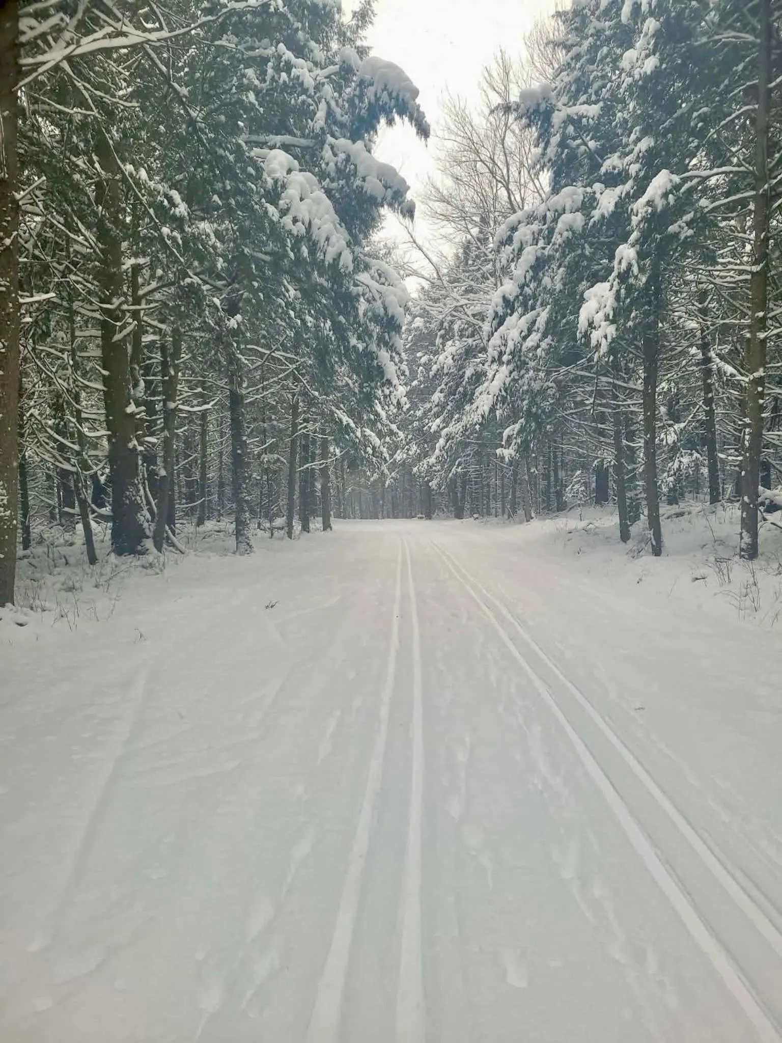 Natural landscape in Au Gré Du Temps - Gîte B&B