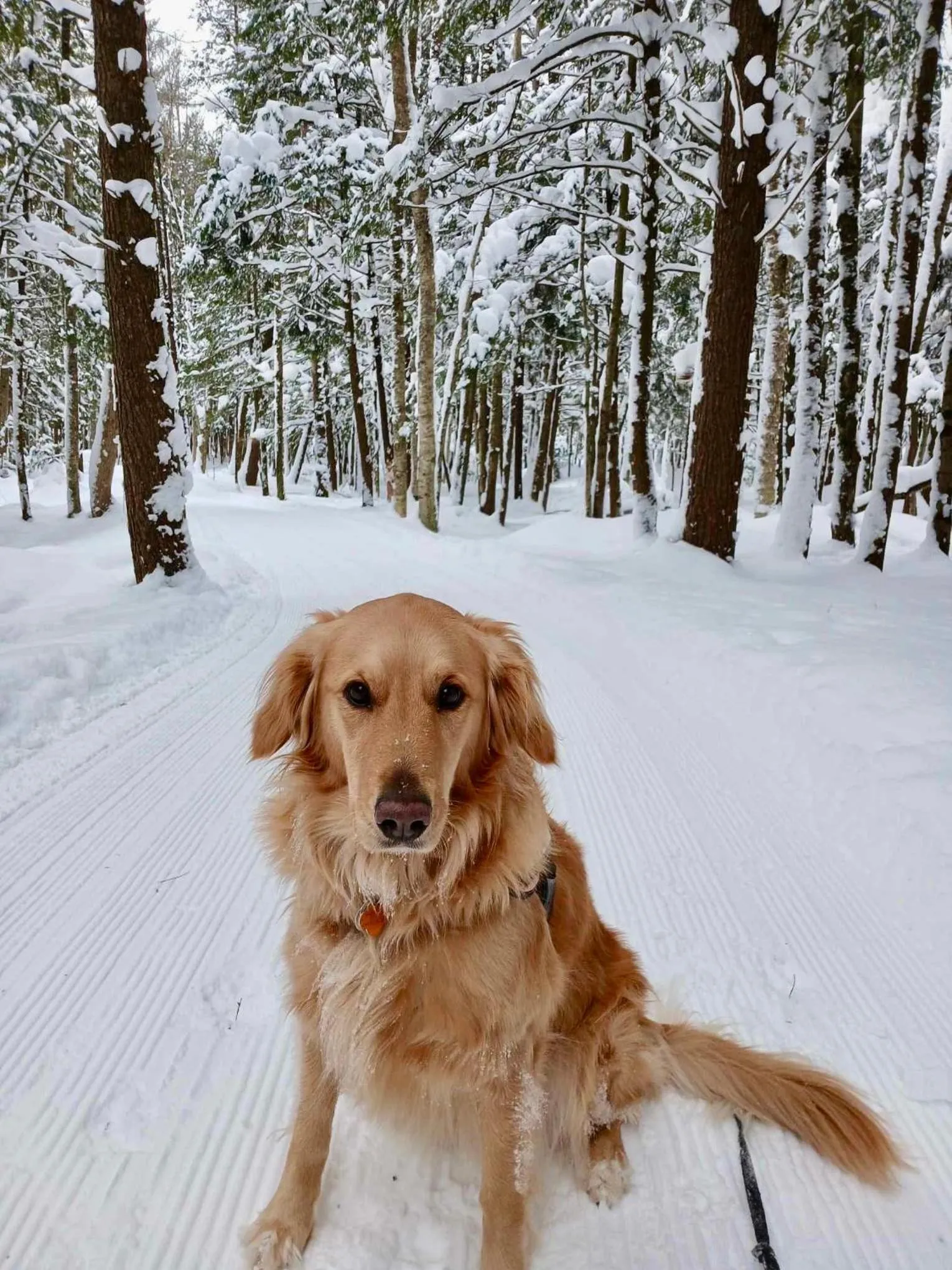 Natural landscape in Au Gré Du Temps - Gîte B&B