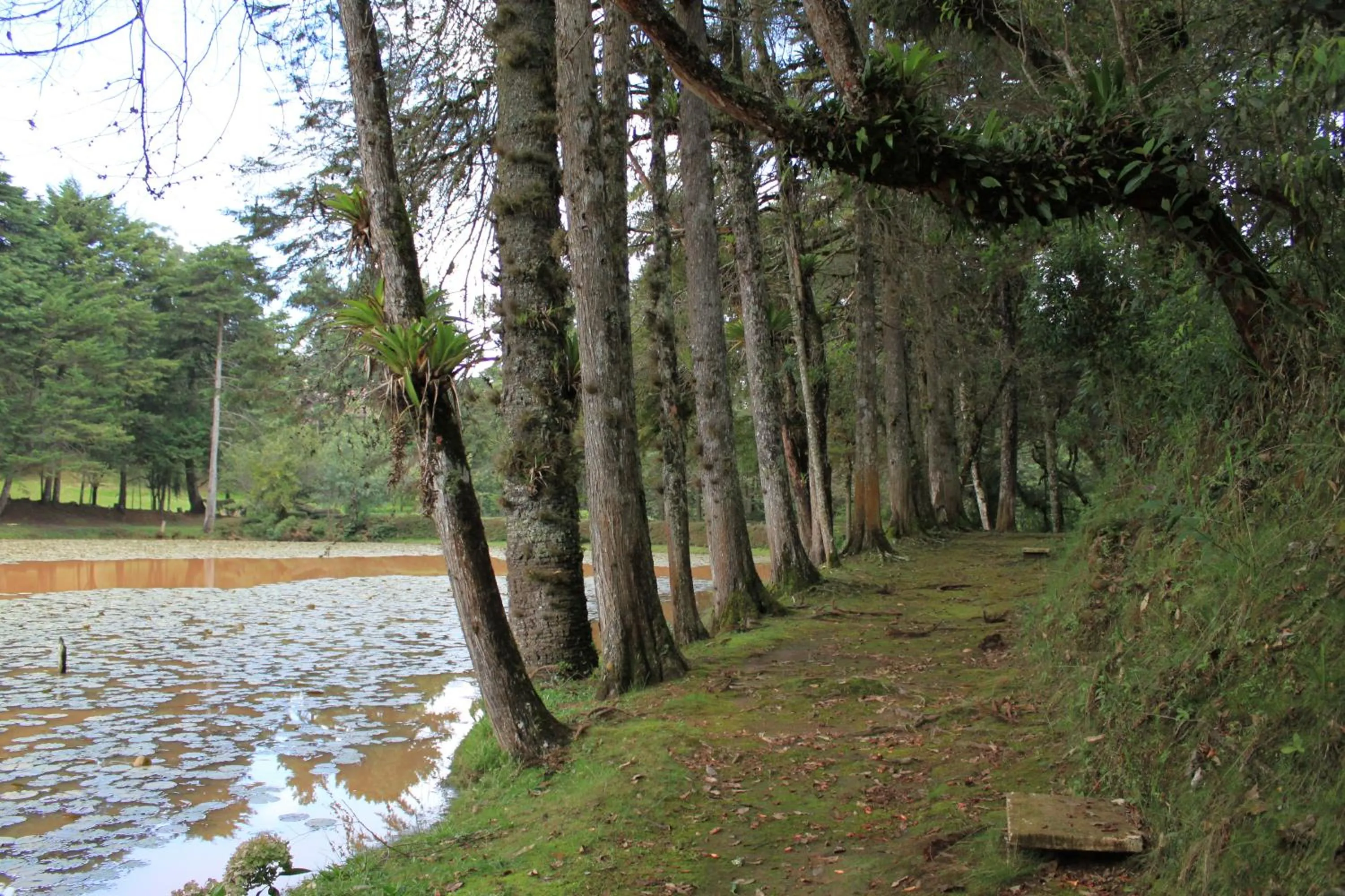 Natural landscape in Hotel Recanto São Cristóvão - Próximo ao parque Tarundu