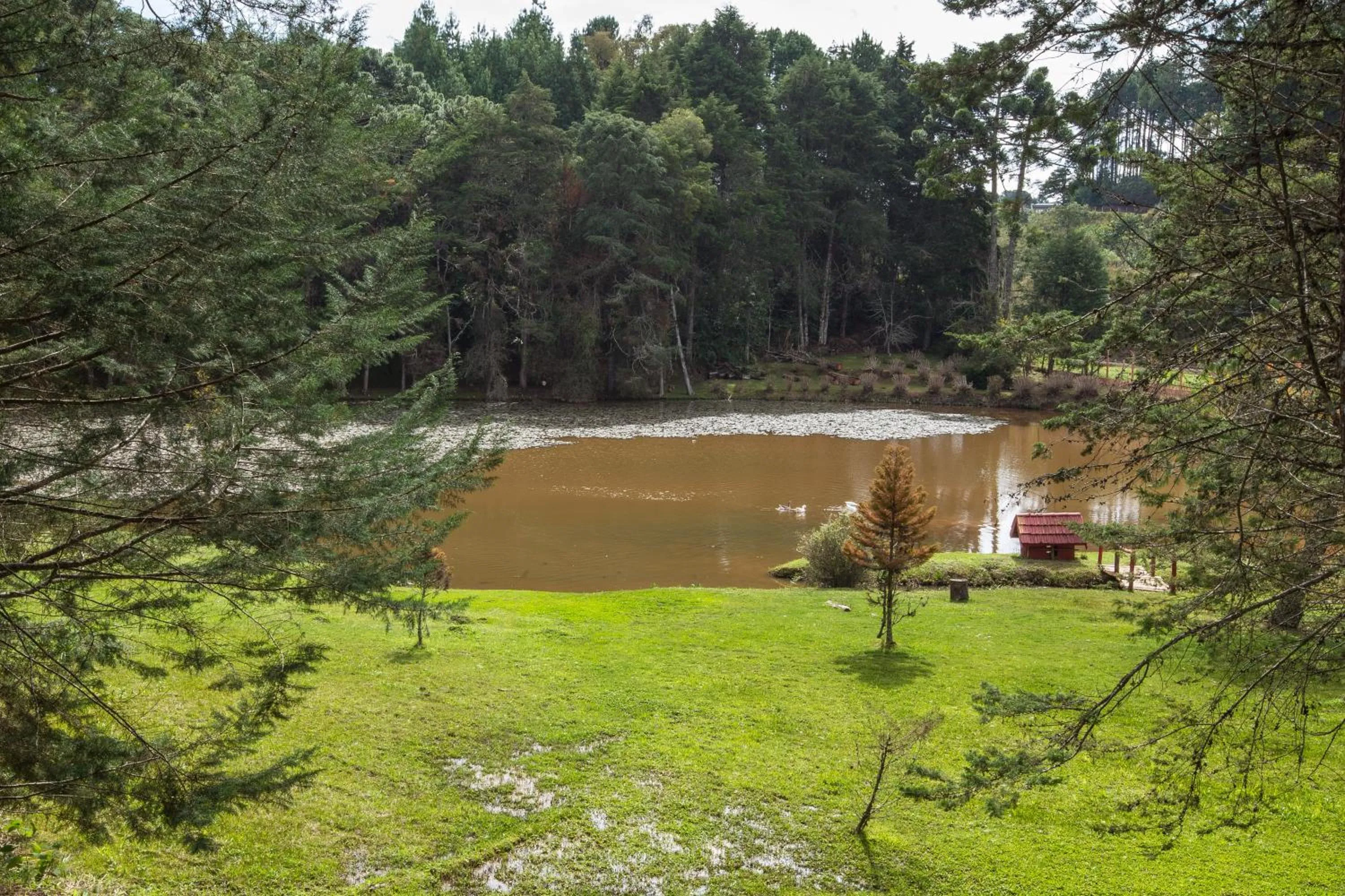 Garden in Hotel Recanto São Cristóvão - Próximo ao parque Tarundu