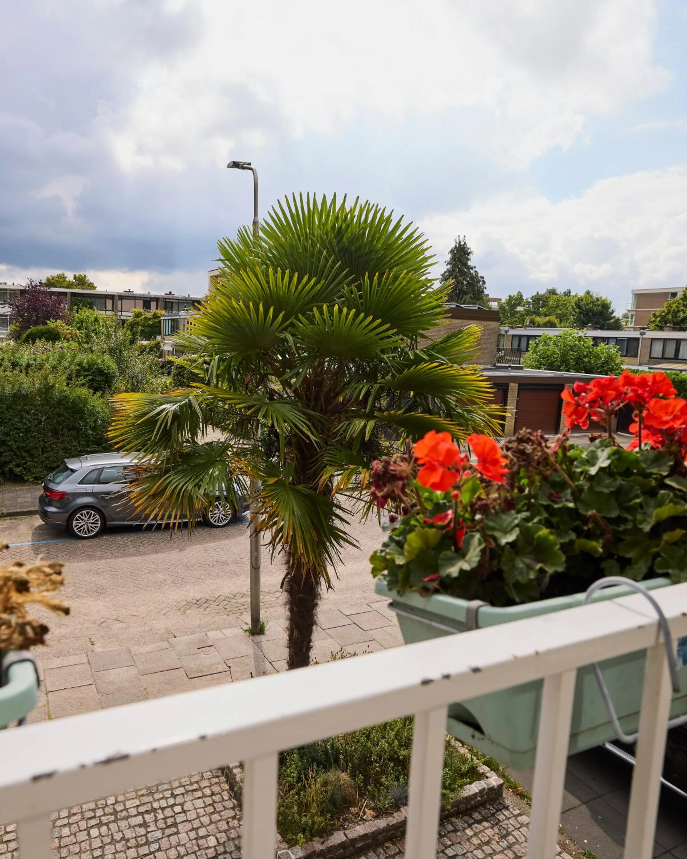 View (from property/room) in Treehouse Inn