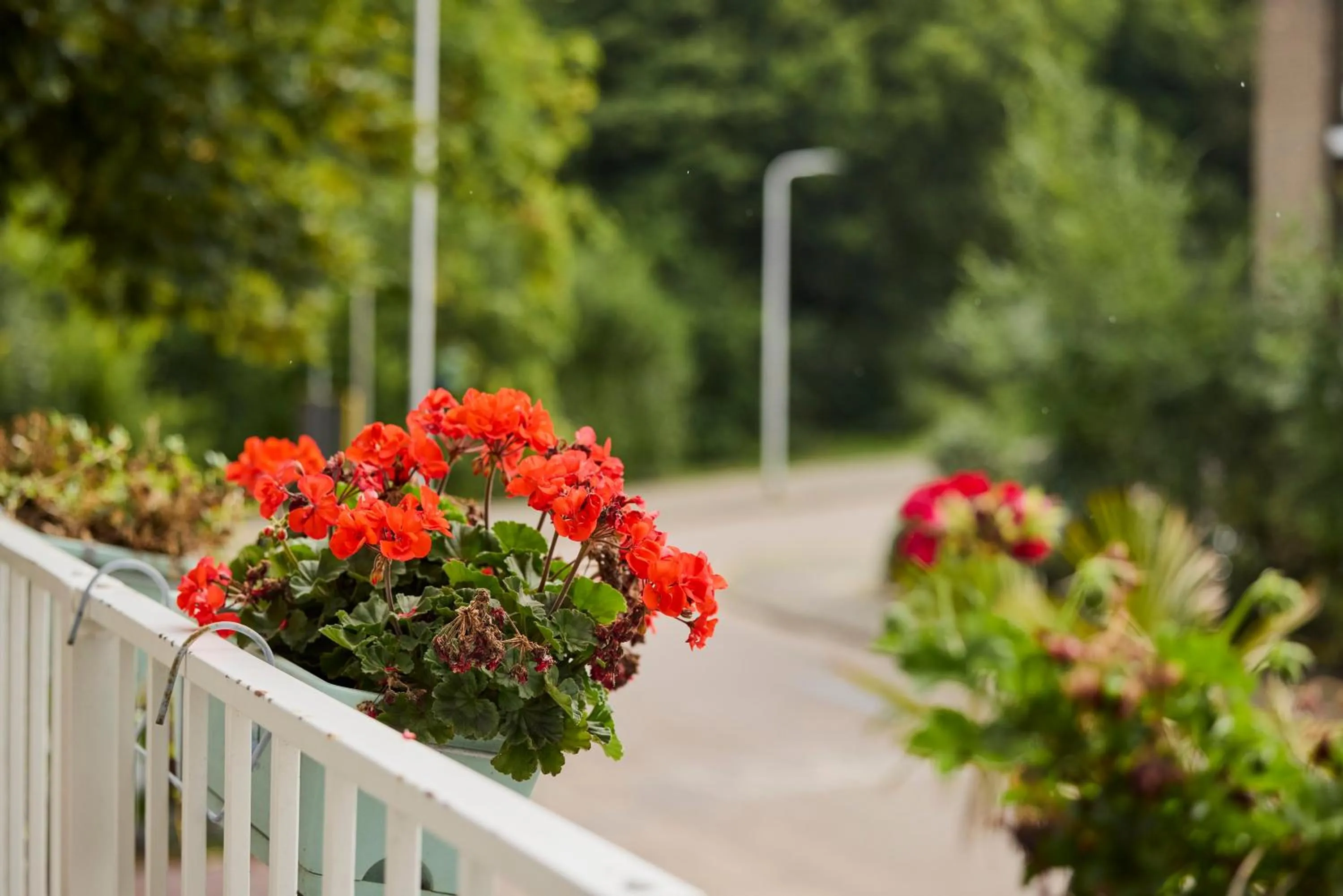 View (from property/room) in Treehouse Inn