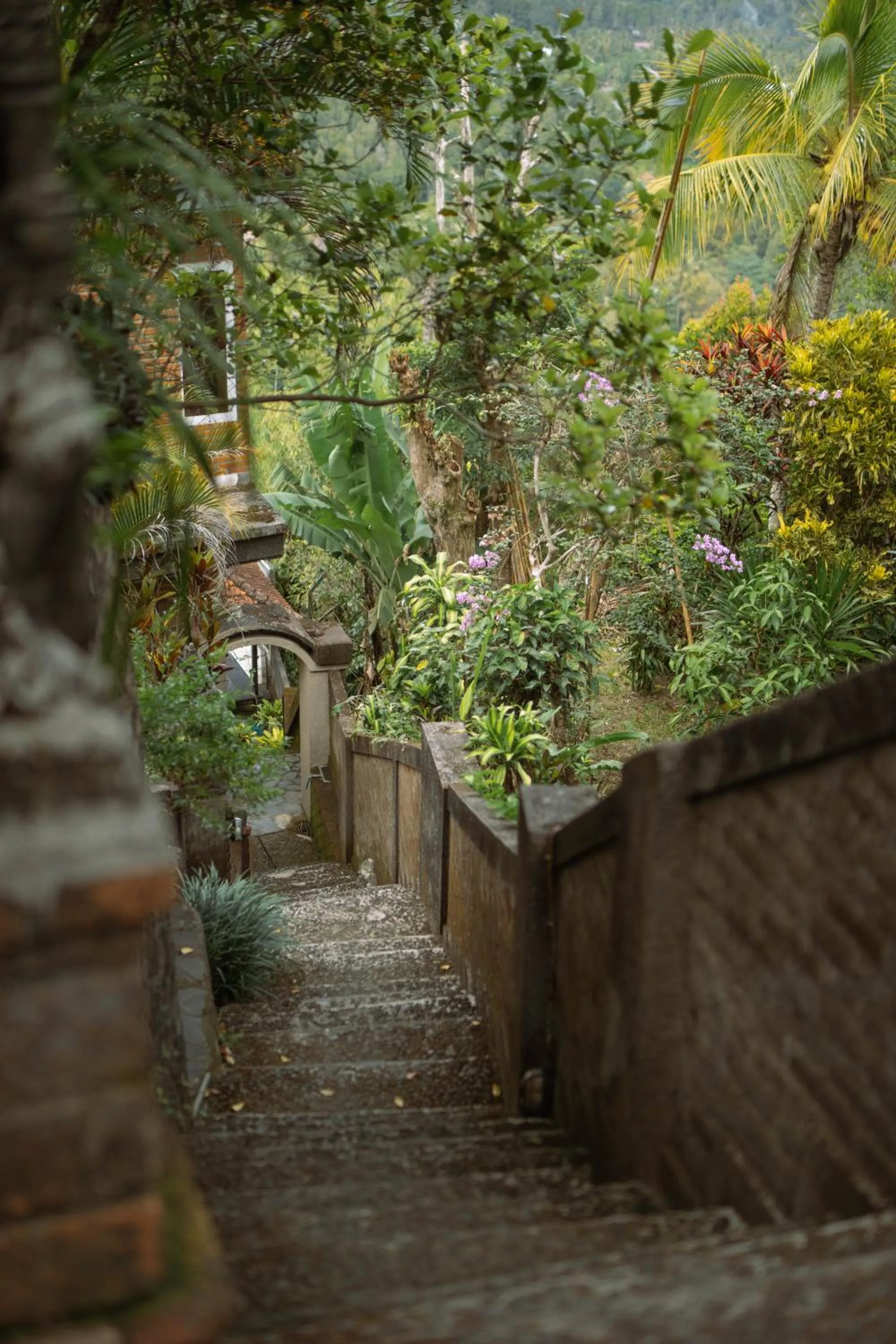 Area and facilities in Puri Alam Bali