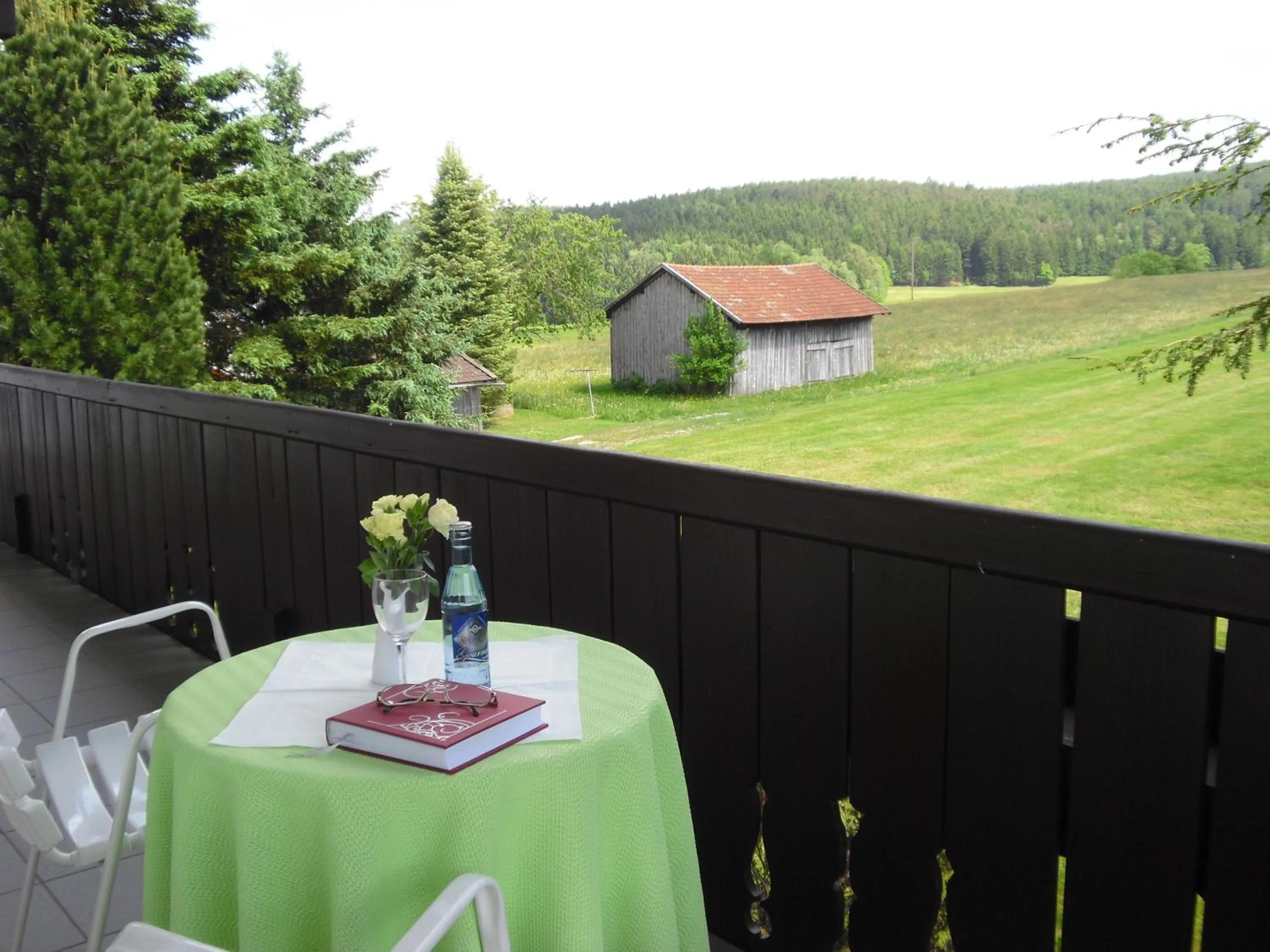 View (from property/room) in Gasthof-Pension-Kraus