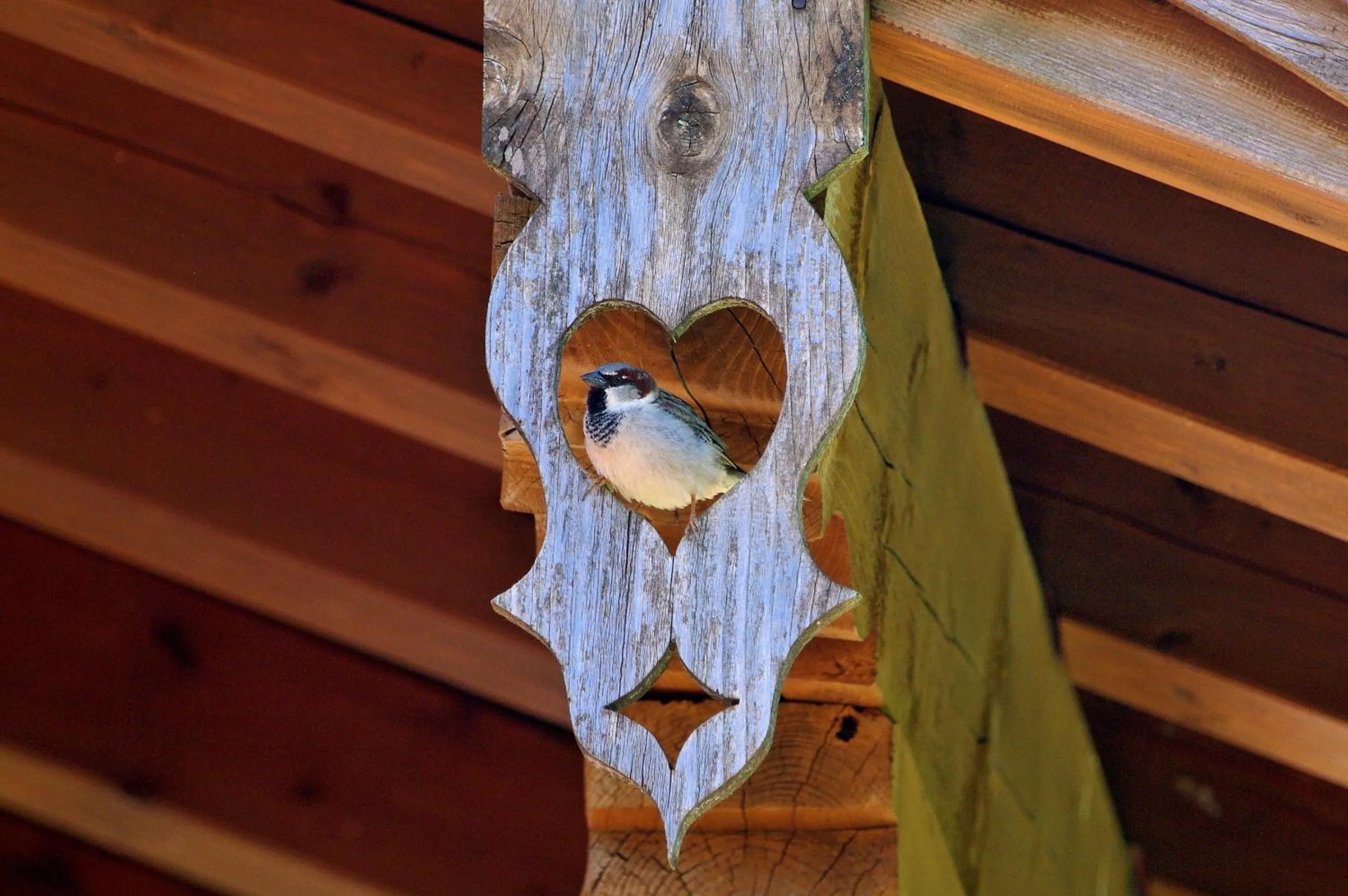 Other in Gasthof-Pension-Kraus