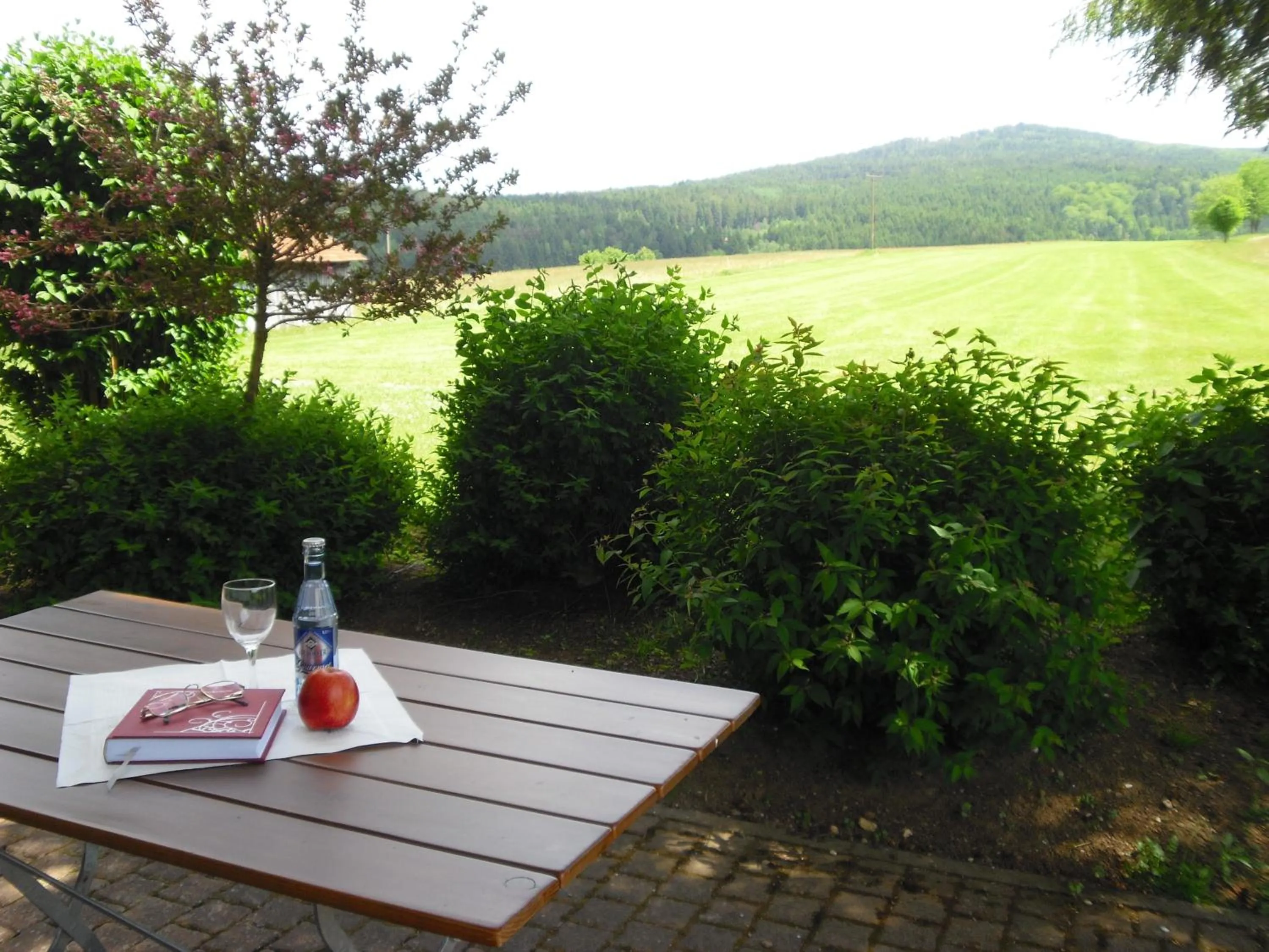 View (from property/room) in Gasthof-Pension-Kraus