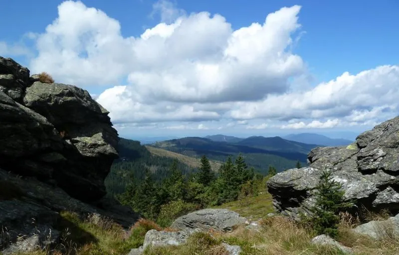 Natural landscape in Gasthof-Pension-Kraus