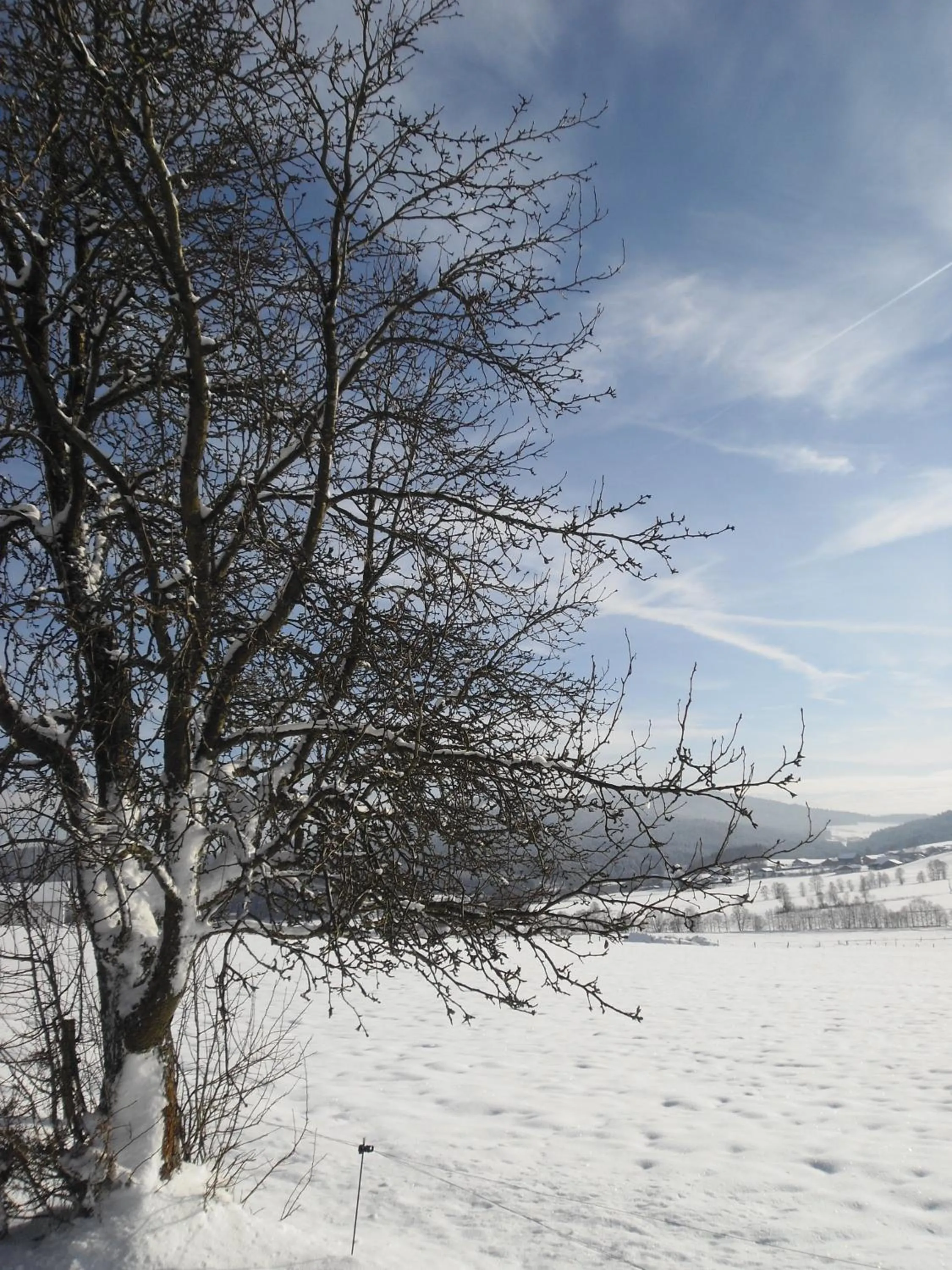 Natural landscape in Gasthof-Pension-Kraus