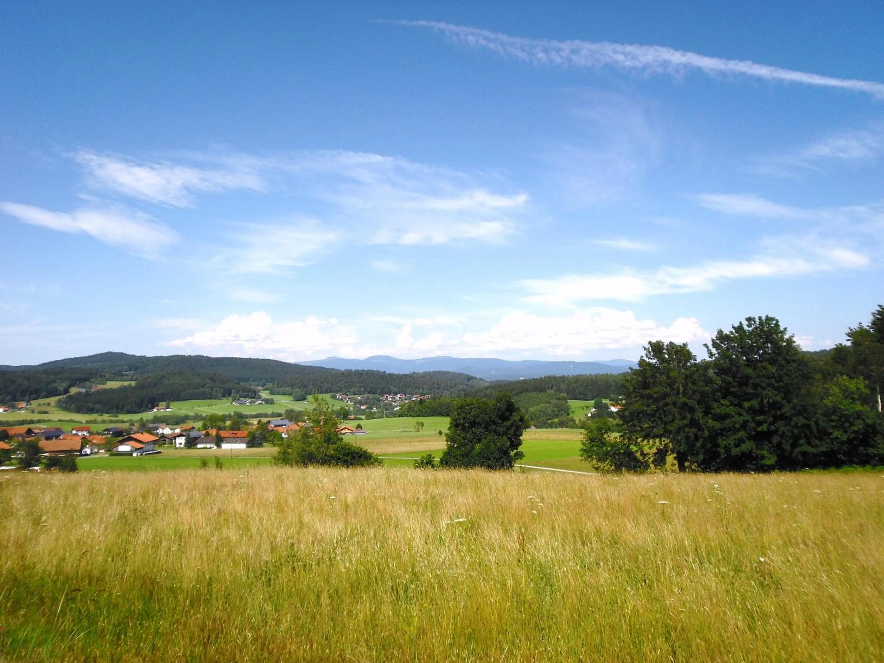 Natural landscape in Gasthof-Pension-Kraus