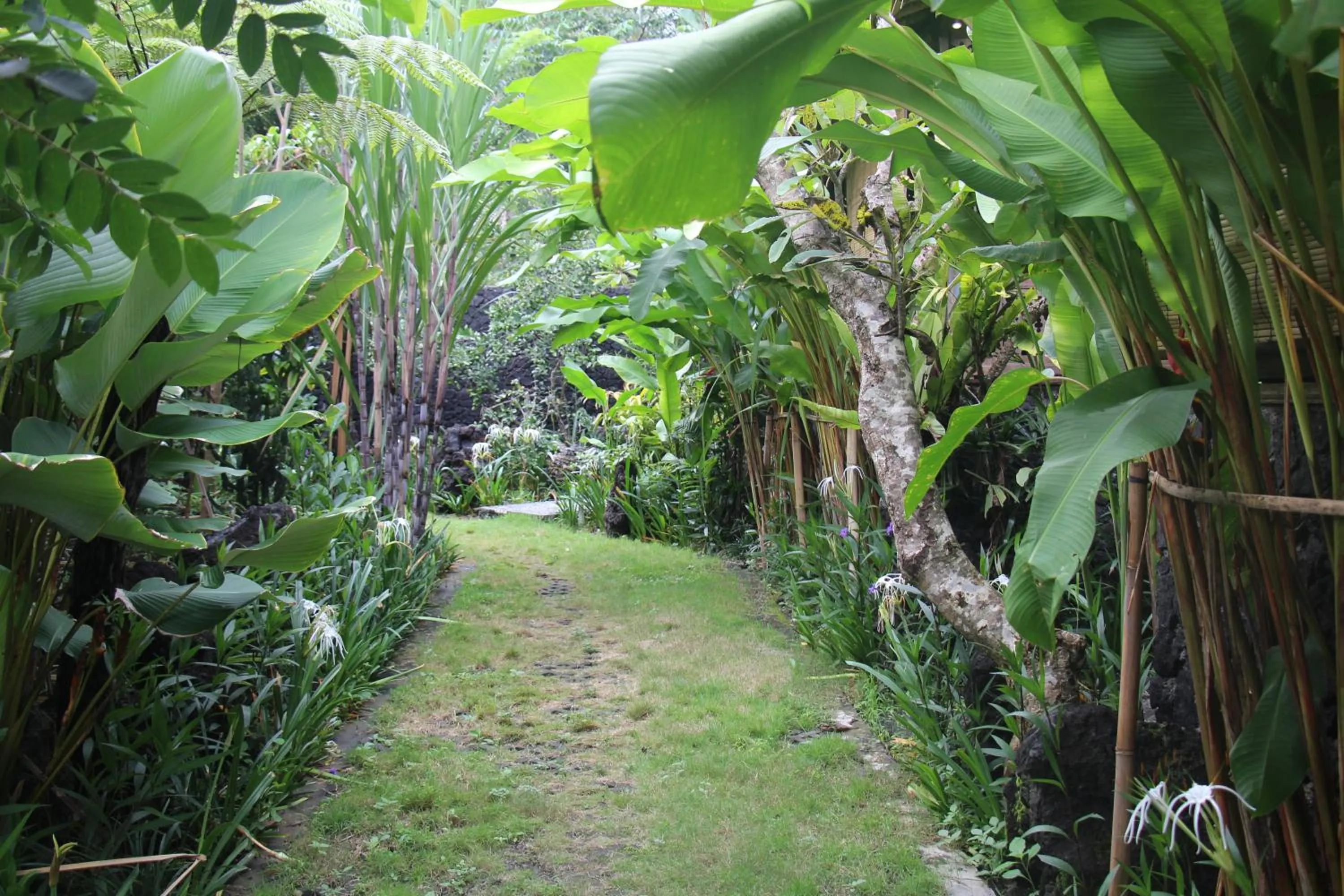 Property building in Geopark Village