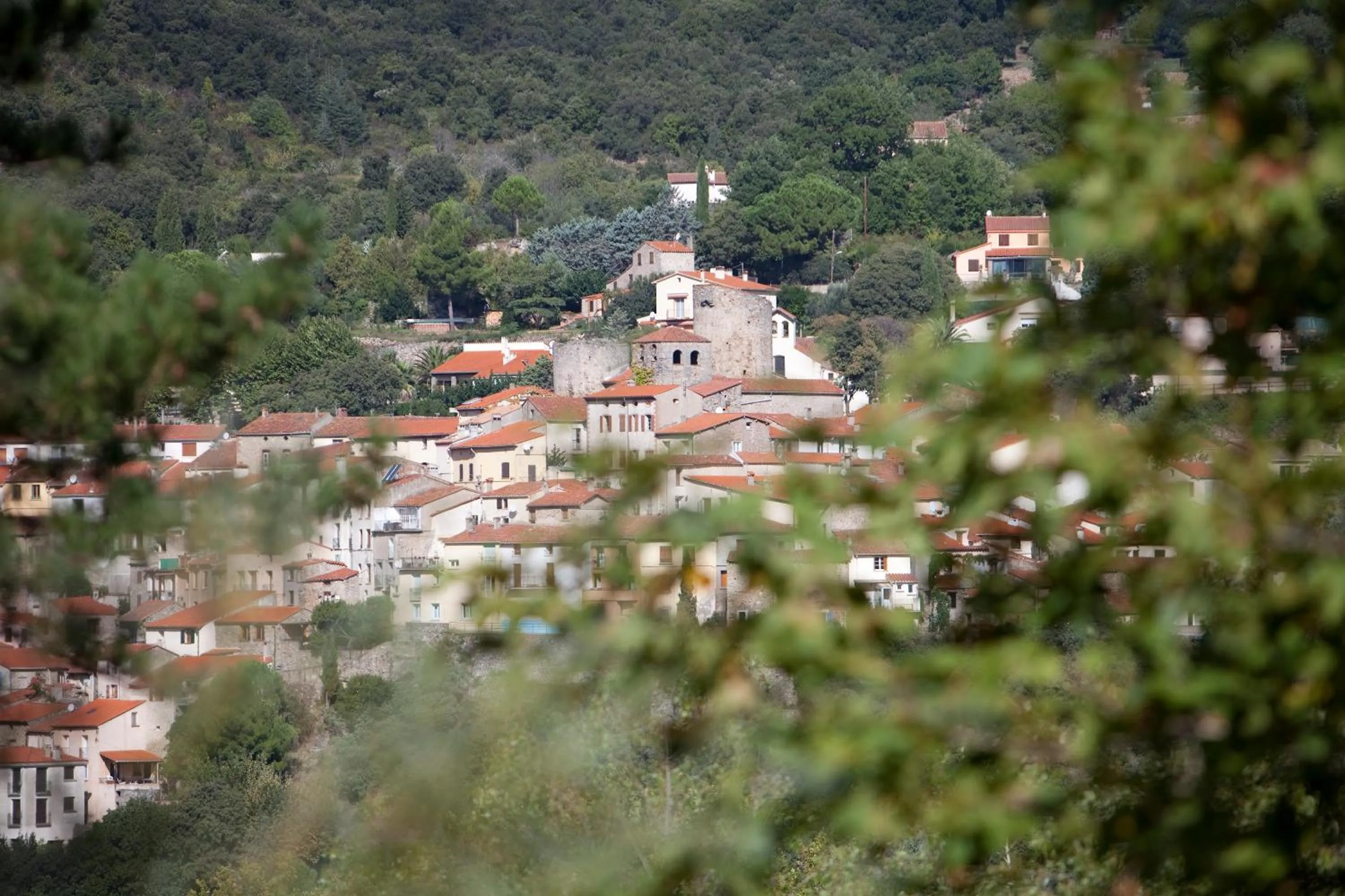 Area and facilities in La Pinède