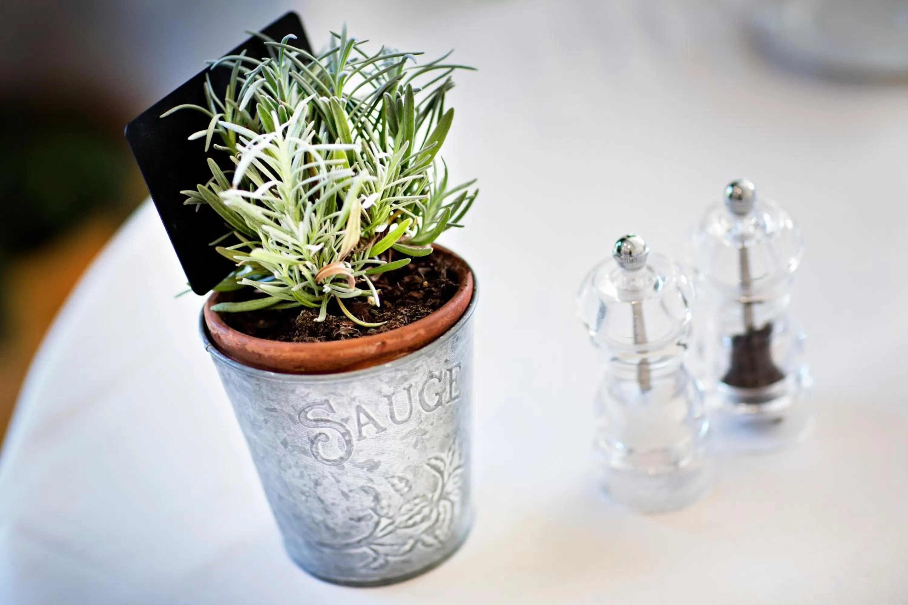 Restaurant/places to eat in La Pinède