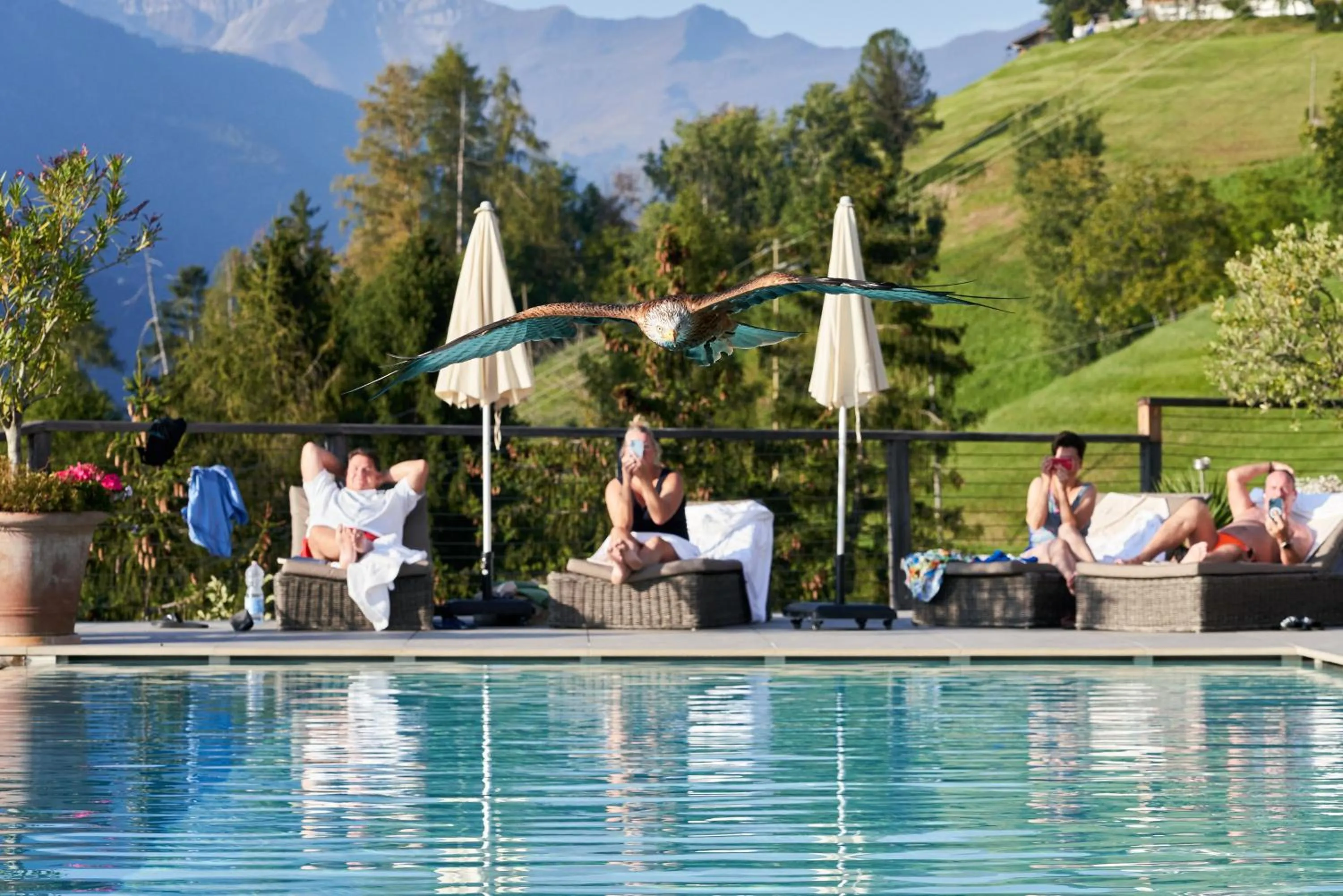 Swimming pool in Hotel Panorama