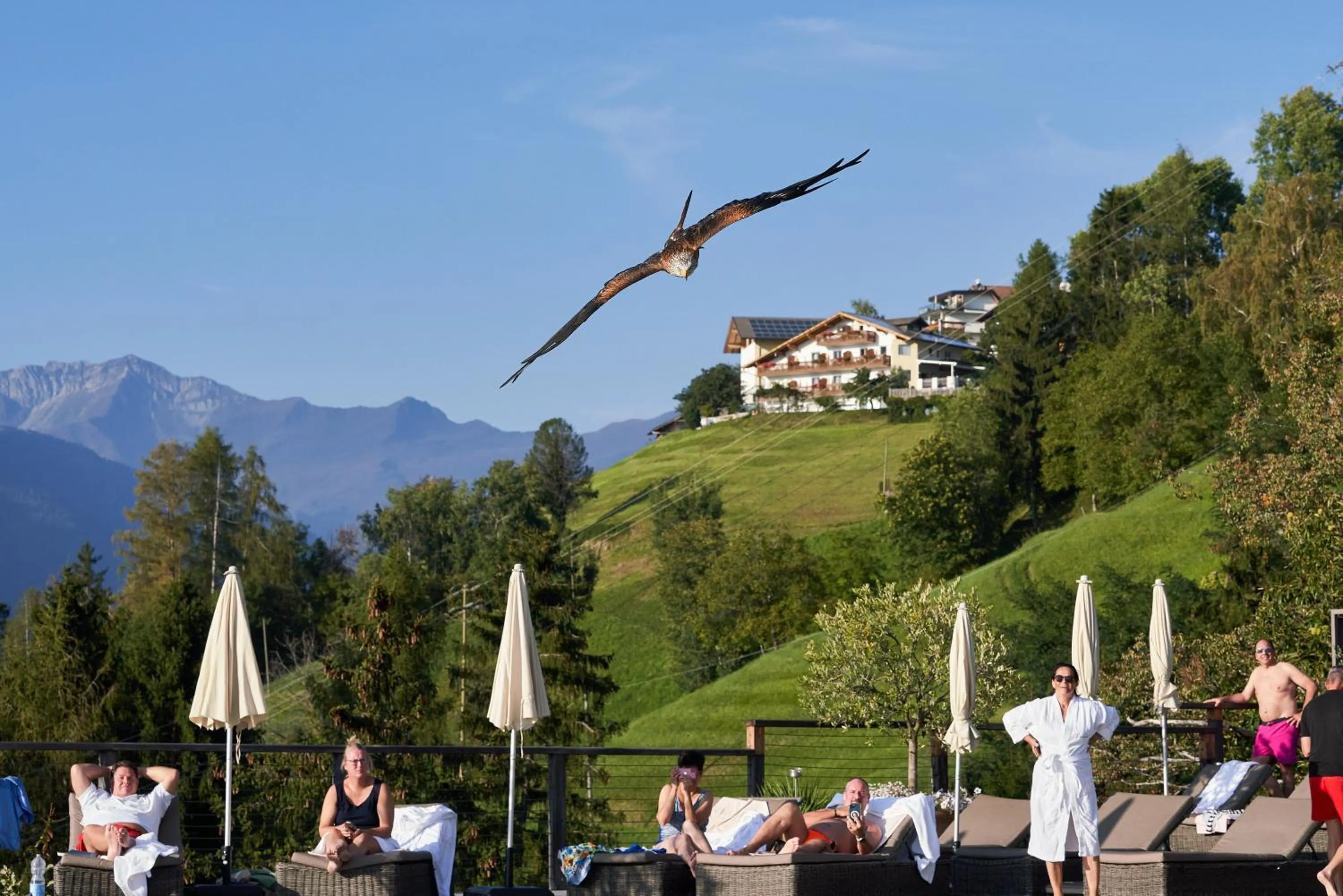 group of guests in Hotel Panorama