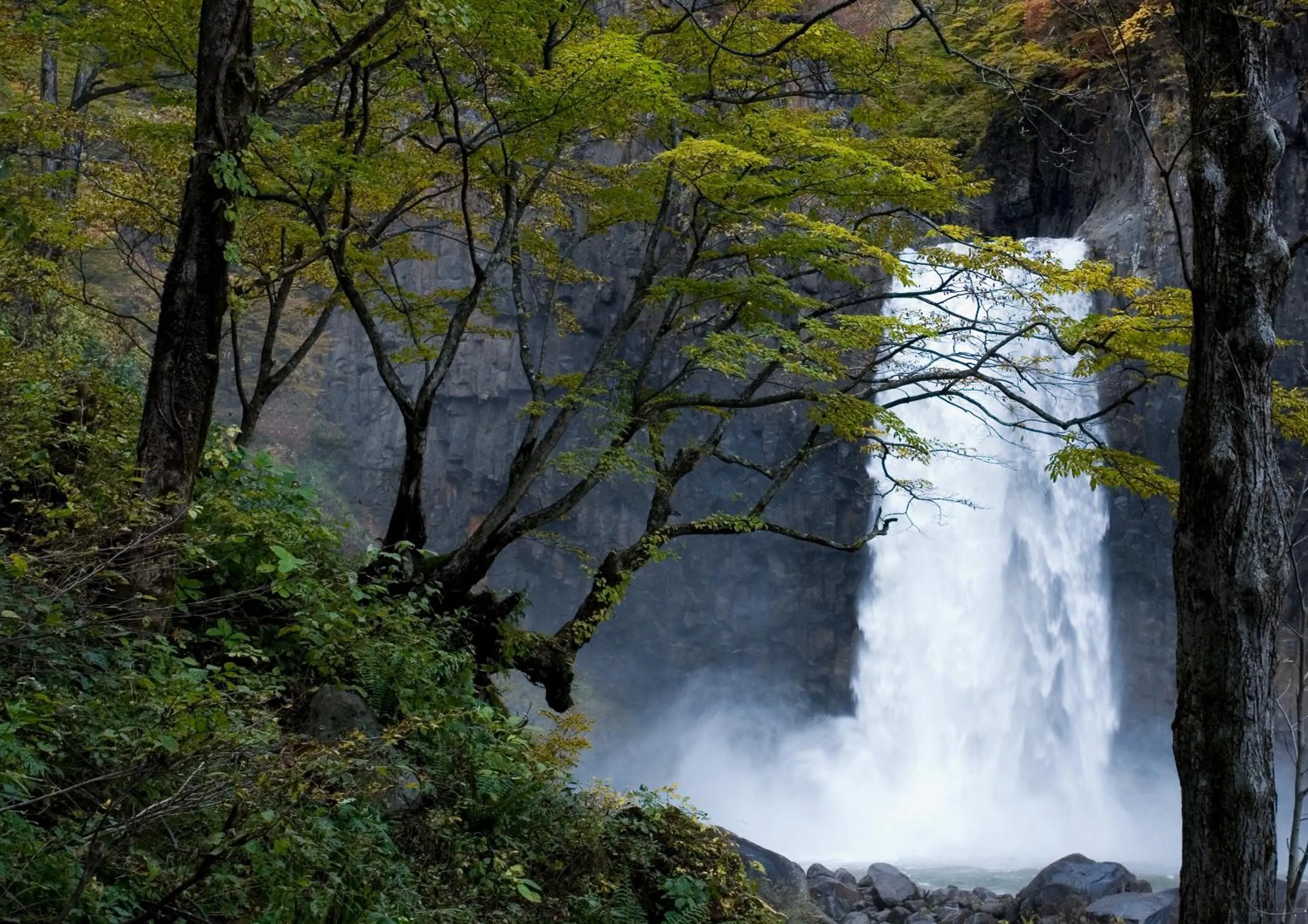 Natural landscape in Kyukamura Myoko