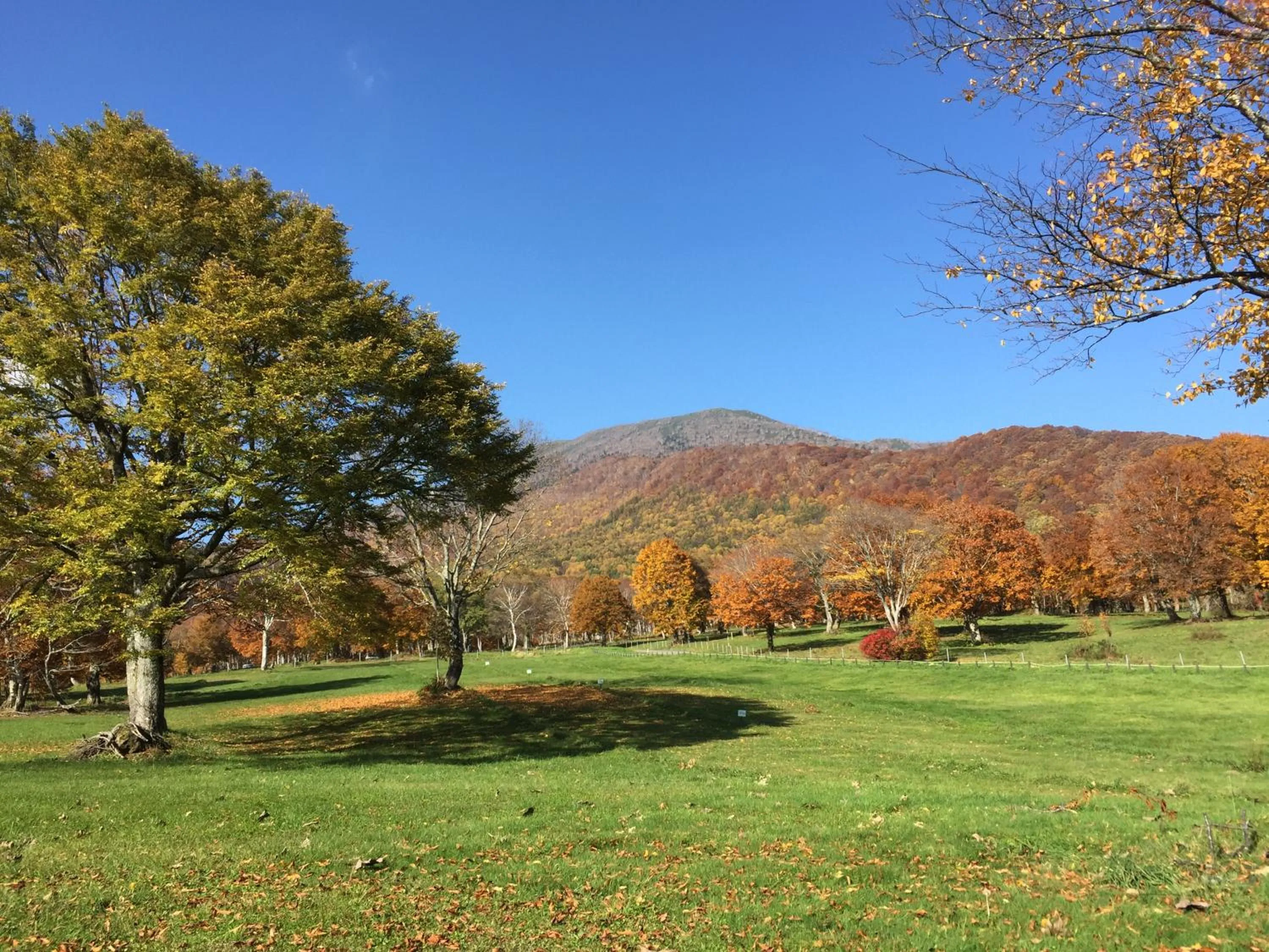 Natural landscape in Kyukamura Myoko