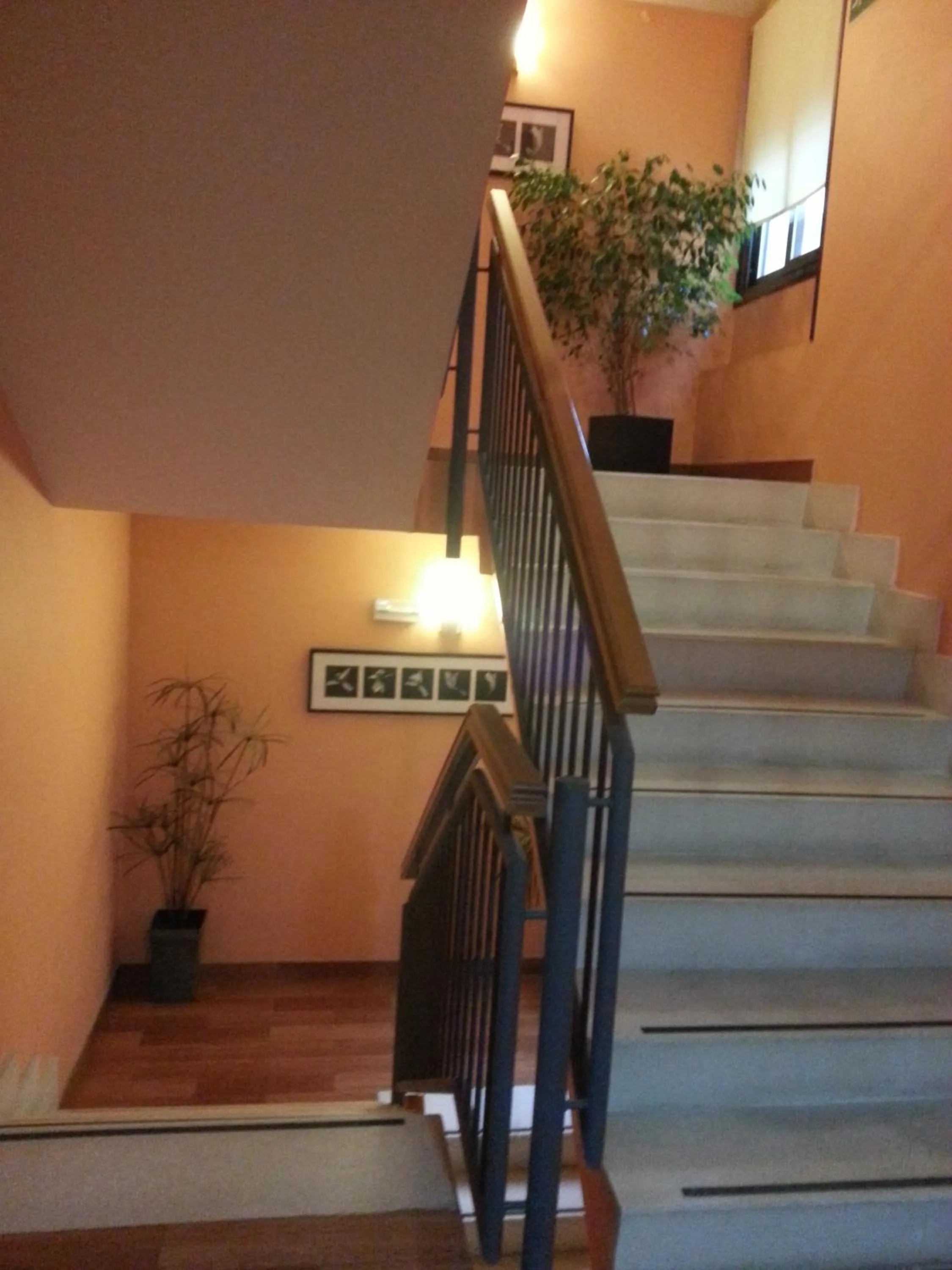 Other in Hostal El Arco