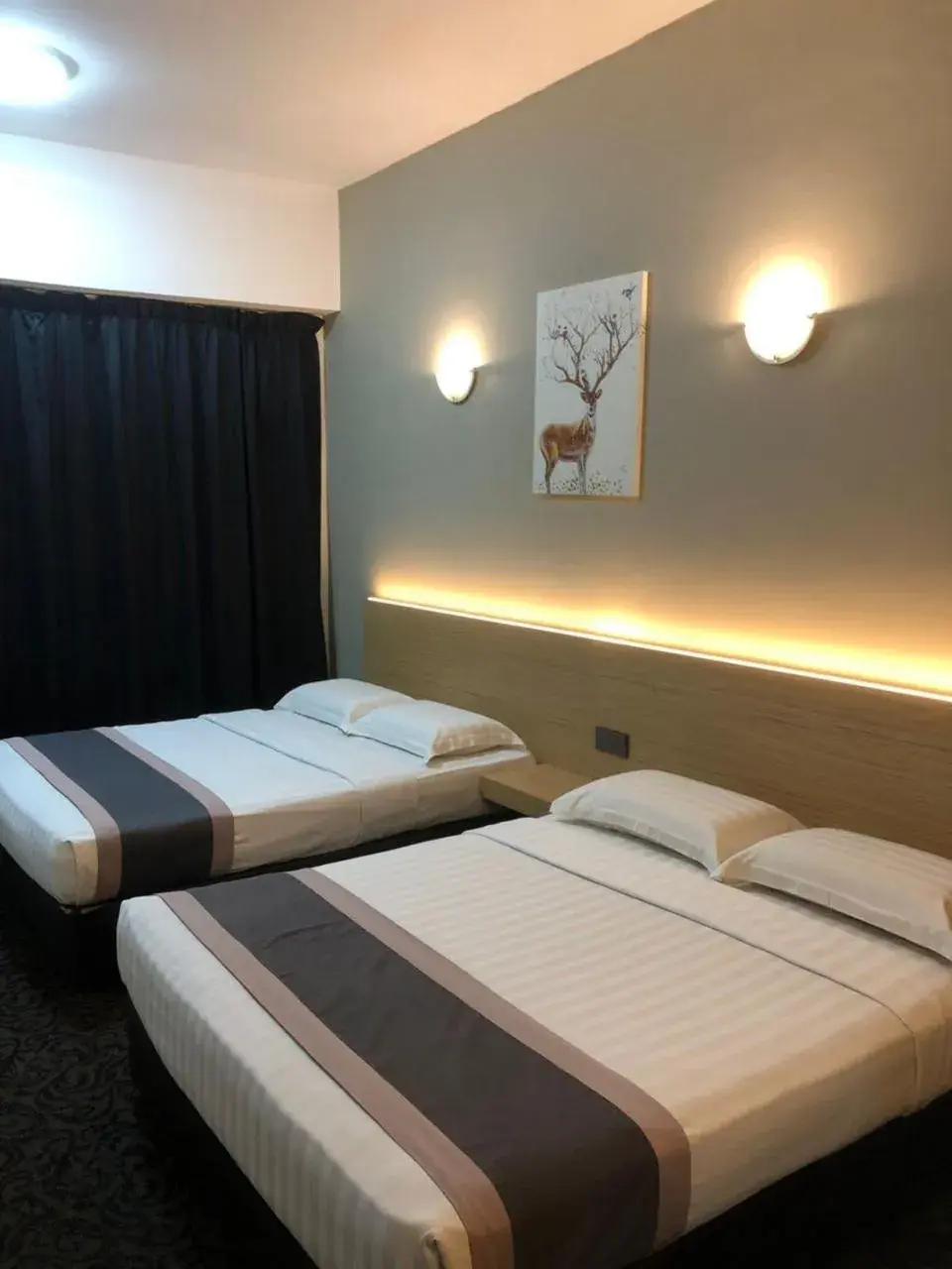 Carnation Special Suite in Greenlast Hotel Carnation Special Suite in Greenlast Hotel